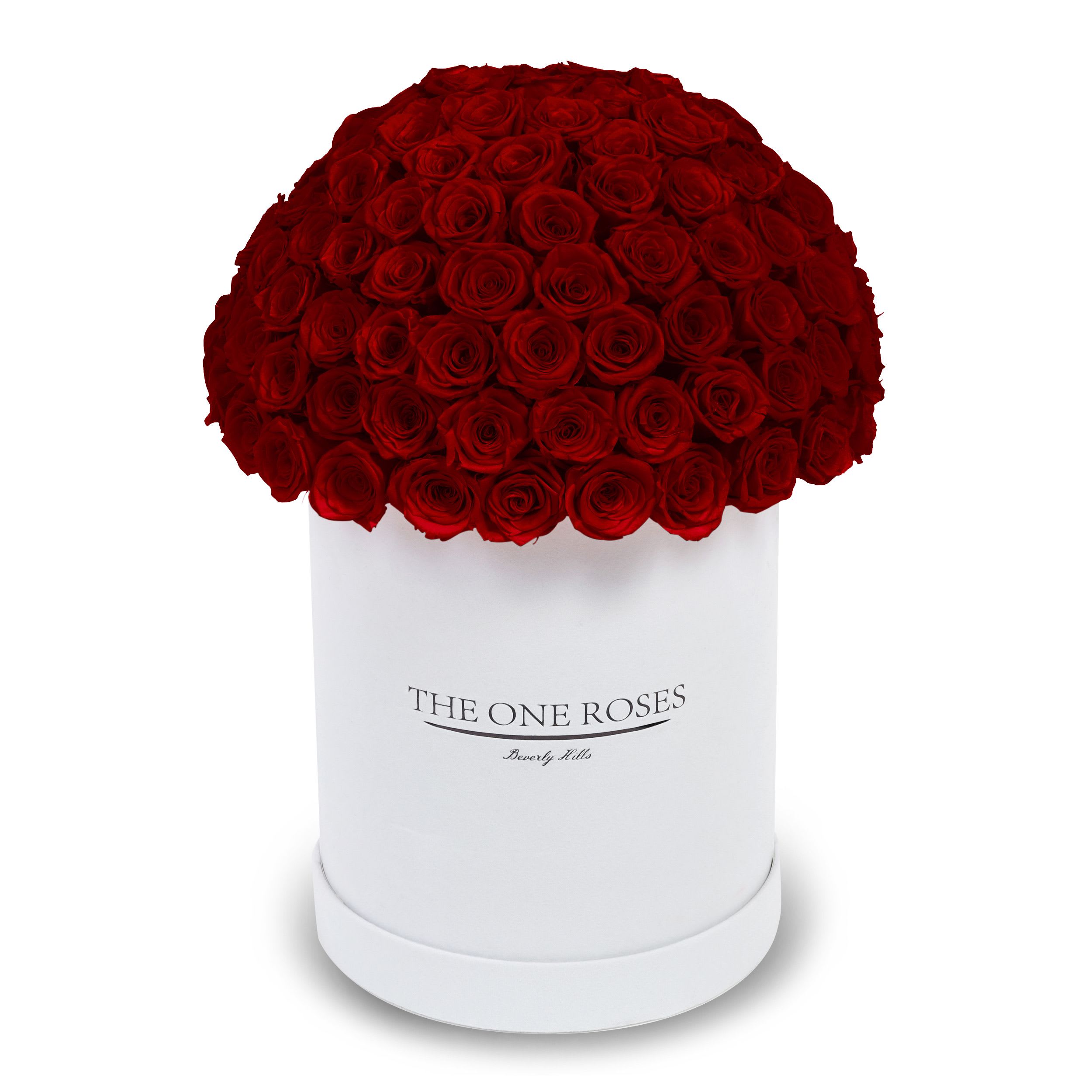 Suede Dome Deluxe | Premium White Box Burgundy Red Suede Dome Deluxe | Premium White Box Burgundy Red - The One Roses “Suede Collection“ consists of unique, real preserved roses in premium round handcrafted luxury white suede box with a top.  With about 100 stems of The One long lasting (med size) real preserved roses.  THE ONE ROSES - Declaration of Love  Durability: approx. 1-3 years.