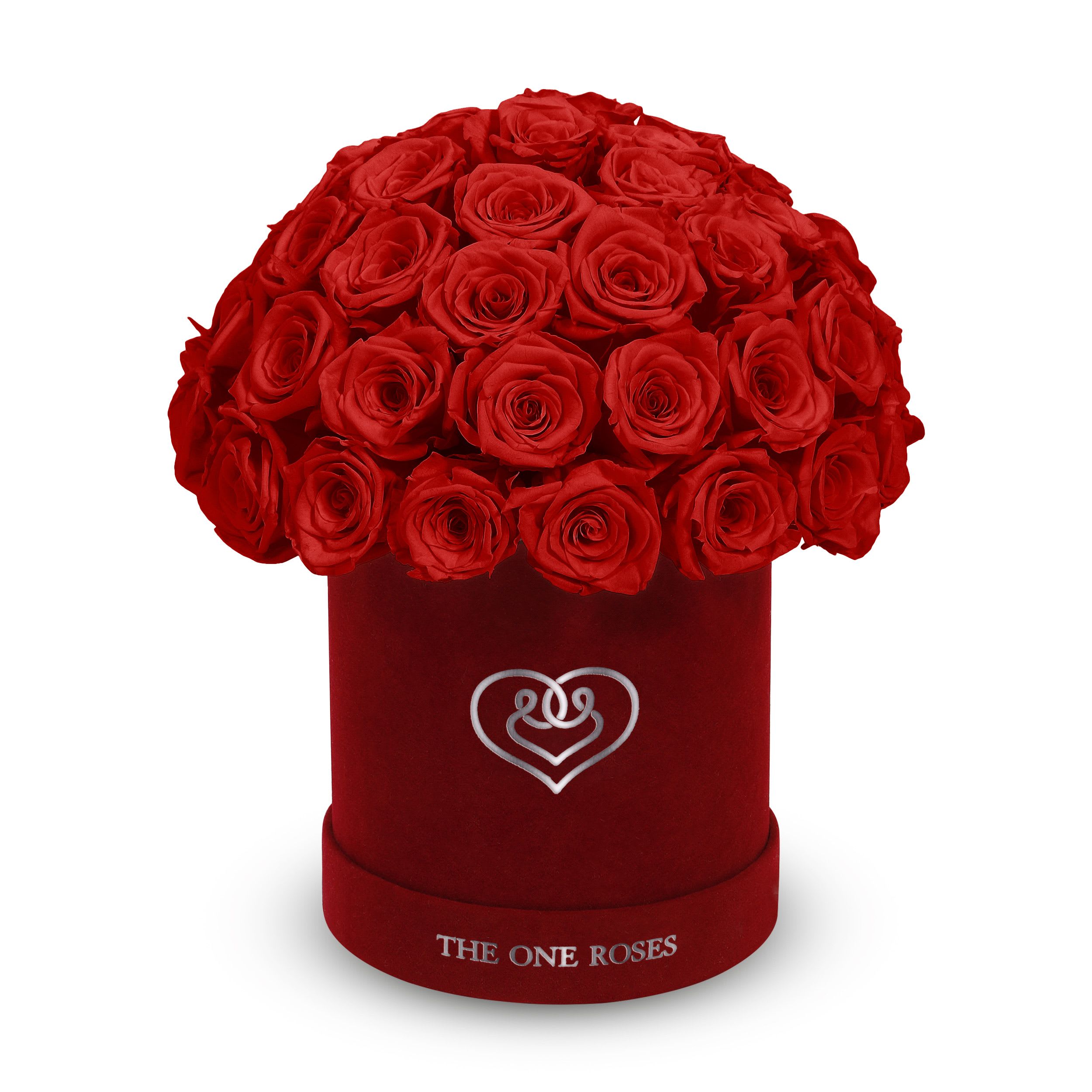 Suede Dome | Basic Burgundy Box Crimson Red Suede Dome | Basic Burgundy Box Crimson Red - The One Roses “Suede Collection“ consists of unique, real preserved roses in basic round handcrafted luxury black suede box with a top.  With about 50 stems of The One long lasting (med size) real preserved roses.  Durability: approx. 1-3 years.  Product Dimension: 6″× 6″ / ABOUT 50 ROSES  Our roses, which are carefully sourced from the highest quality gardens in Ecuador, are made to represent the eternal yet ephemeral nature of Love itself. Our Roses are specially customized with essential oils to increase the fragrance.  Product Care: DO NOT Water the roses! AVOID direct exposure to sunlight. Keep the arrangement in a room-temperature environment. If dust collects after a few months, remove it lightly using a duster. DO NOT place anything onto the roses as they can crush and damage the roses. DO NOT remove the roses from the box; they are secure and happy there. DO NOT allow roses to have direct contact with light colored fabric or surfaces, as staining may occur. The lid is meant to stay on the side or bottom of the box. Be mindful when carrying the arrangement: it's a very delicate product!