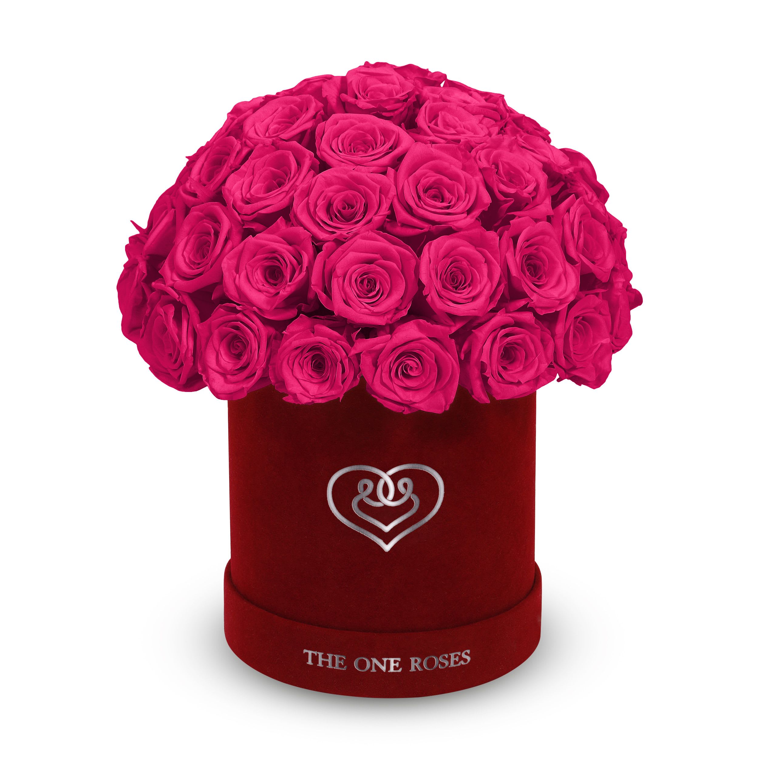 Suede Dome | Basic Burgundy Box Hot Pink Suede Dome | Basic Burgundy Box Hot Pink - The One Roses “Suede Collection“ consists of unique, real preserved roses in basic round handcrafted luxury black suede box with a top.  With about 50 stems of The One long lasting (med size) real preserved roses.  Durability: approx. 1-3 years.  Product Dimension: 6″× 6″ / ABOUT 50 ROSES  Our roses, which are carefully sourced from the highest quality gardens in Ecuador, are made to represent the eternal yet ephemeral nature of Love itself. Our Roses are specially customized with essential oils to increase the fragrance.  Product Care: DO NOT Water the roses! AVOID direct exposure to sunlight. Keep the arrangement in a room-temperature environment. If dust collects after a few months, remove it lightly using a duster. DO NOT place anything onto the roses as they can crush and damage the roses. DO NOT remove the roses from the box; they are secure and happy there. DO NOT allow roses to have direct contact with light colored fabric or surfaces, as staining may occur. The lid is meant to stay on the side or bottom of the box. Be mindful when carrying the arrangement: it's a very delicate product!