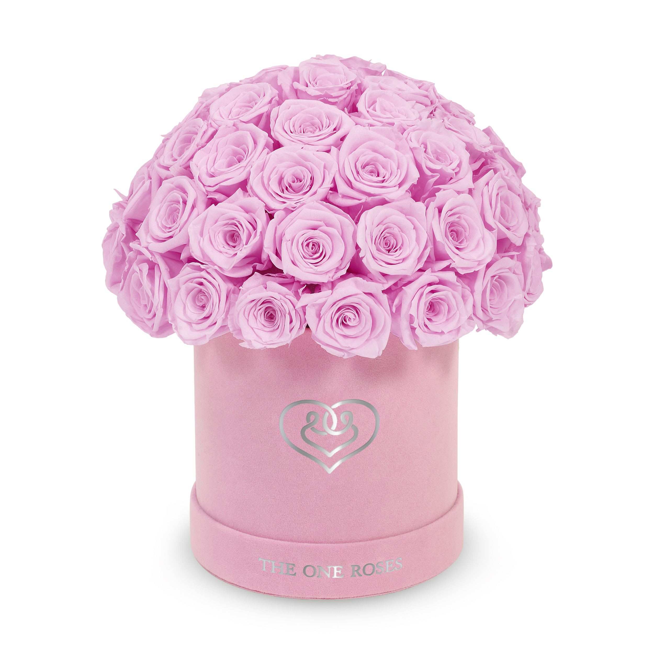 Suede Dome | Basic Pink Box Lilac Suede Dome | Basic Pink Box Lilac - The One Roses “Suede Collection“ consists of unique, real preserved roses in basic round handcrafted luxury black suede box with a top.  With about 50 stems of The One long lasting (med size) real preserved roses.  Durability: approx. 1-3 years.  Product Dimension: 6″× 6″ / ABOUT 50 ROSES  Our roses, which are carefully sourced from the highest quality gardens in Ecuador, are made to represent the eternal yet ephemeral nature of Love itself. Our Roses are specially customized with essential oils to increase the fragrance.  Product Care: DO NOT Water the roses! AVOID direct exposure to sunlight. Keep the arrangement in a room-temperature environment. If dust collects after a few months, remove it lightly using a duster. DO NOT place anything onto the roses as they can crush and damage the roses. DO NOT remove the roses from the box; they are secure and happy there. DO NOT allow roses to have direct contact with light colored fabric or surfaces, as staining may occur. The lid is meant to stay on the side or bottom of the box. Be mindful when carrying the arrangement: it's a very delicate product!