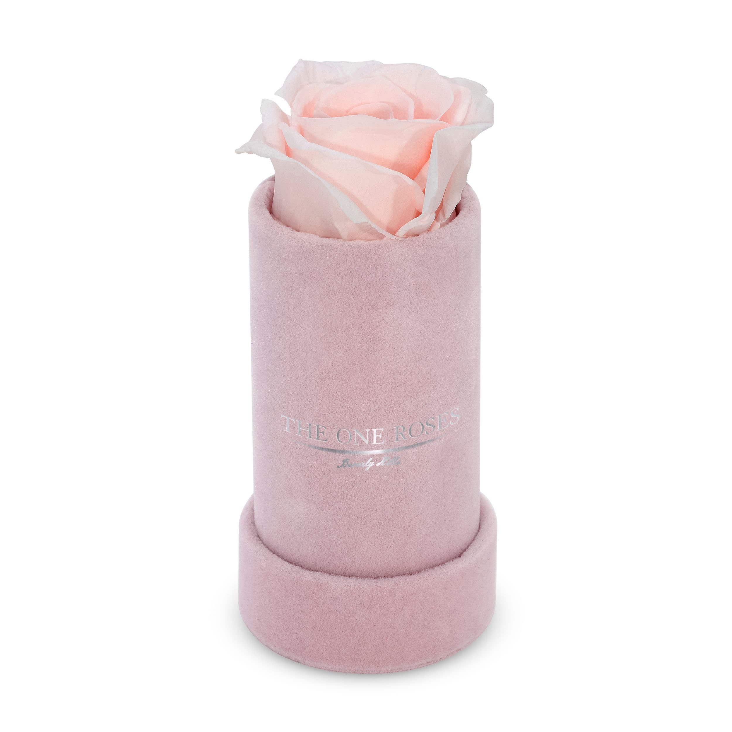 Suede Single | The One Pink Box Candy Pink Rose Suede Single | The One Pink Box Candy Pink Rose - Keep it simple with one single preserved rose that sits perfectly in its own suede box. Elegant in its solitude, this single rose will last for up to five years as a testament to your love. The perfect accessory to a beautiful ring when the moment is right for a proposal. Pick your rose color and order it today.   PRODUCT CARE Keep away from water and direct sunlight. Your roses feel comfortable in their box. Please do not remove them. We feel it is important to mention that all substances used in the preservation process are non-toxic, non-corrosive, non-carcinogenic. The solutions and colorants are the same as those used in food, and textile manufacturing, therefore, they do not represent any health or environmental risk.