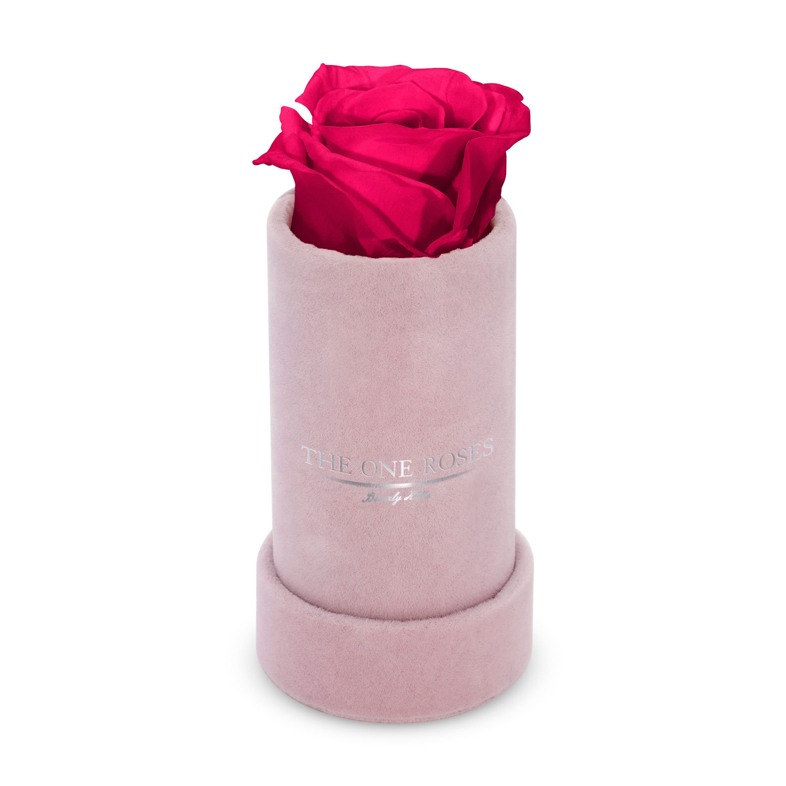 Suede Single | The One Pink Box Hot Pink Rose Suede Single | The One Pink Box Hot Pink Rose - Keep it simple with one single preserved rose that sits perfectly in its own suede box. Elegant in its solitude, this single rose will last for up to five years as a testament to your love. The perfect accessory to a beautiful ring when the moment is right for a proposal. Pick your rose color and order it today.   PRODUCT CARE Keep away from water and direct sunlight. Your roses feel comfortable in their box. Please do not remove them. We feel it is important to mention that all substances used in the preservation process are non-toxic, non-corrosive, non-carcinogenic. The solutions and colorants are the same as those used in food, and textile manufacturing, therefore, they do not represent any health or environmental risk.