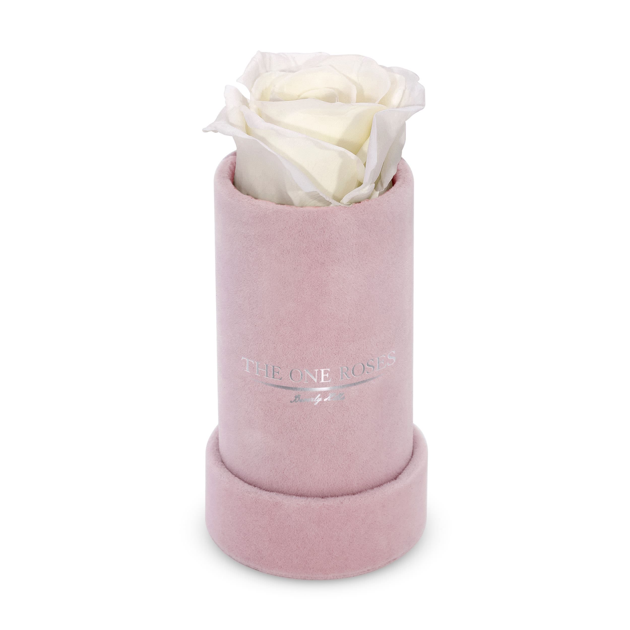 Suede Single | The One Pink Box Pearl White Rose Suede Single | The One Pink Box Pearl White Rose - Keep it simple with one single preserved rose that sits perfectly in its own suede box. Elegant in its solitude, this single rose will last for up to five years as a testament to your love. The perfect accessory to a beautiful ring when the moment is right for a proposal. Pick your rose color and order it today.   PRODUCT CARE Keep away from water and direct sunlight. Your roses feel comfortable in their box. Please do not remove them. We feel it is important to mention that all substances used in the preservation process are non-toxic, non-corrosive, non-carcinogenic. The solutions and colorants are the same as those used in food, and textile manufacturing, therefore, they do not represent any health or environmental risk.