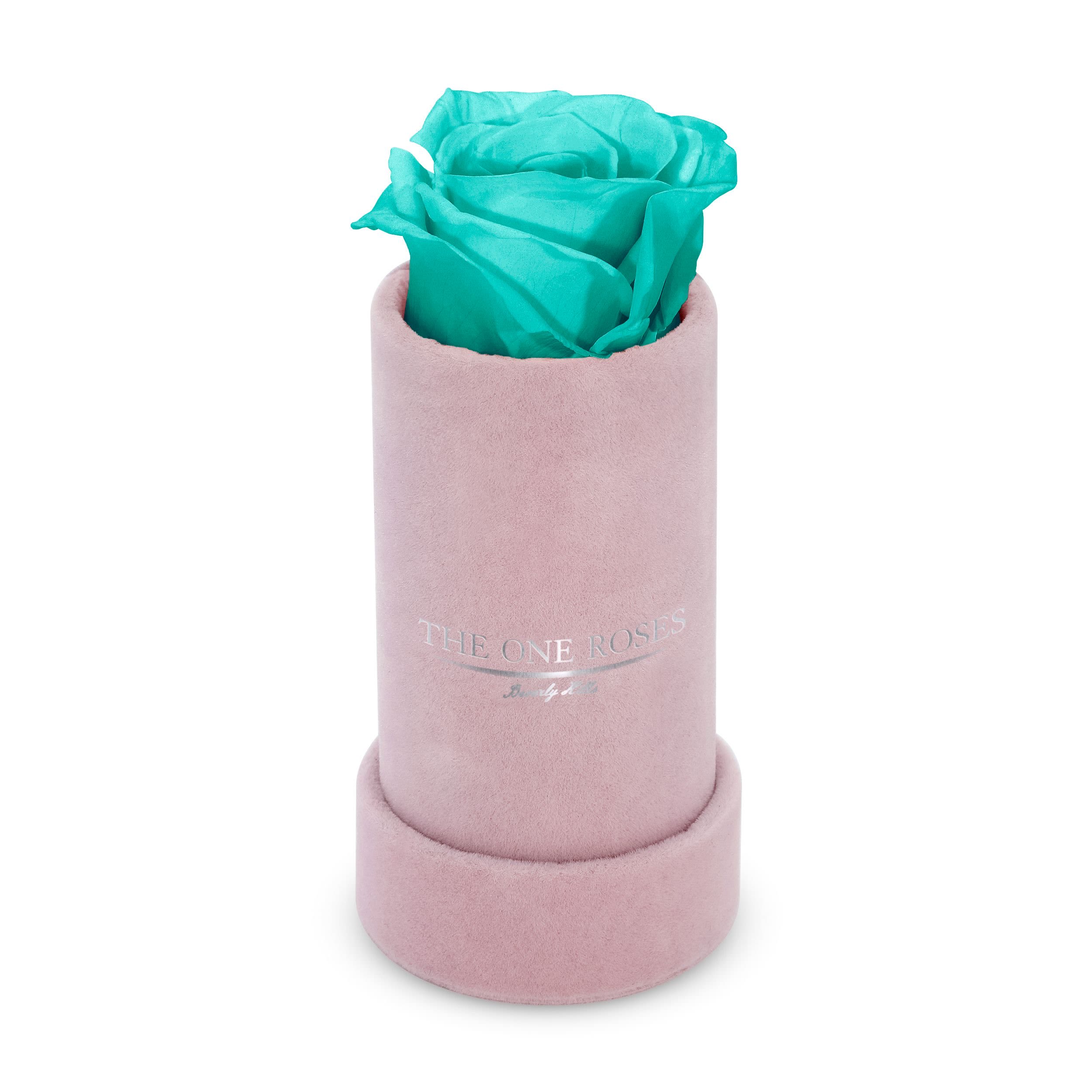 Suede Single | The One Pink Box Teal Blue Rose Suede Single | The One Pink Box Teal Blue Rose - Keep it simple with one single preserved rose that sits perfectly in its own suede box. Elegant in its solitude, this single rose will last for up to five years as a testament to your love. The perfect accessory to a beautiful ring when the moment is right for a proposal. Pick your rose color and order it today.   PRODUCT CARE Keep away from water and direct sunlight. Your roses feel comfortable in their box. Please do not remove them. We feel it is important to mention that all substances used in the preservation process are non-toxic, non-corrosive, non-carcinogenic. The solutions and colorants are the same as those used in food, and textile manufacturing, therefore, they do not represent any health or environmental risk.