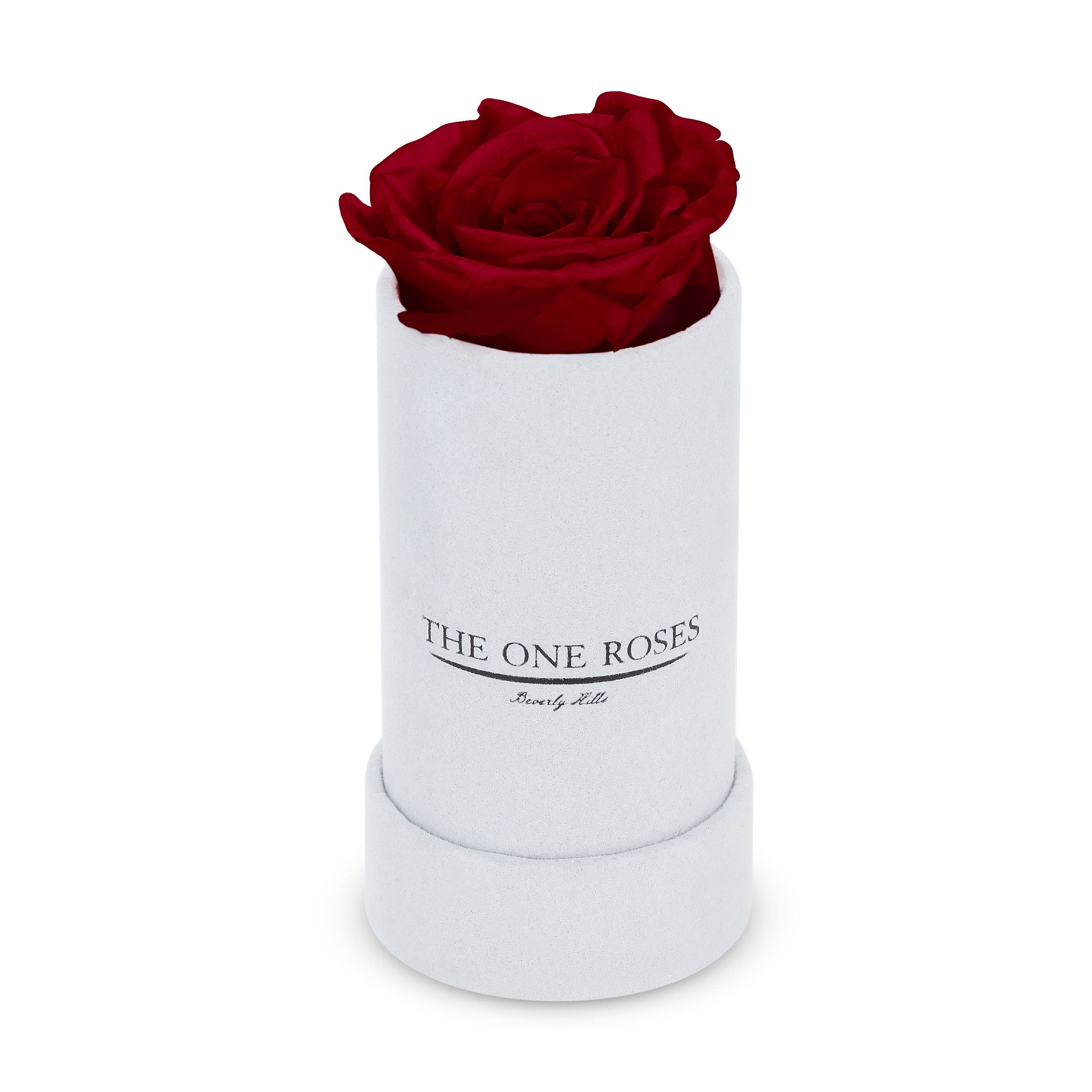 Suede Single | The One White Box Burgundy Red Suede Single | The One White Box Burgundy Red - Keep it simple with one single preserved rose that sits perfectly in its own suede box. Elegant in its solitude, this single rose will last for up to five years as a testament to your love. The perfect accessory to a beautiful ring when the moment is right for a proposal. Pick your rose color and order it today.   PRODUCT CARE Keep away from water and direct sunlight. Your roses feel comfortable in their box. Please do not remove them. We feel it is important to mention that all substances used in the preservation process are non-toxic, non-corrosive, non-carcinogenic. The solutions and colorants are the same as those used in food, and textile manufacturing, therefore, they do not represent any health or environmental risk.