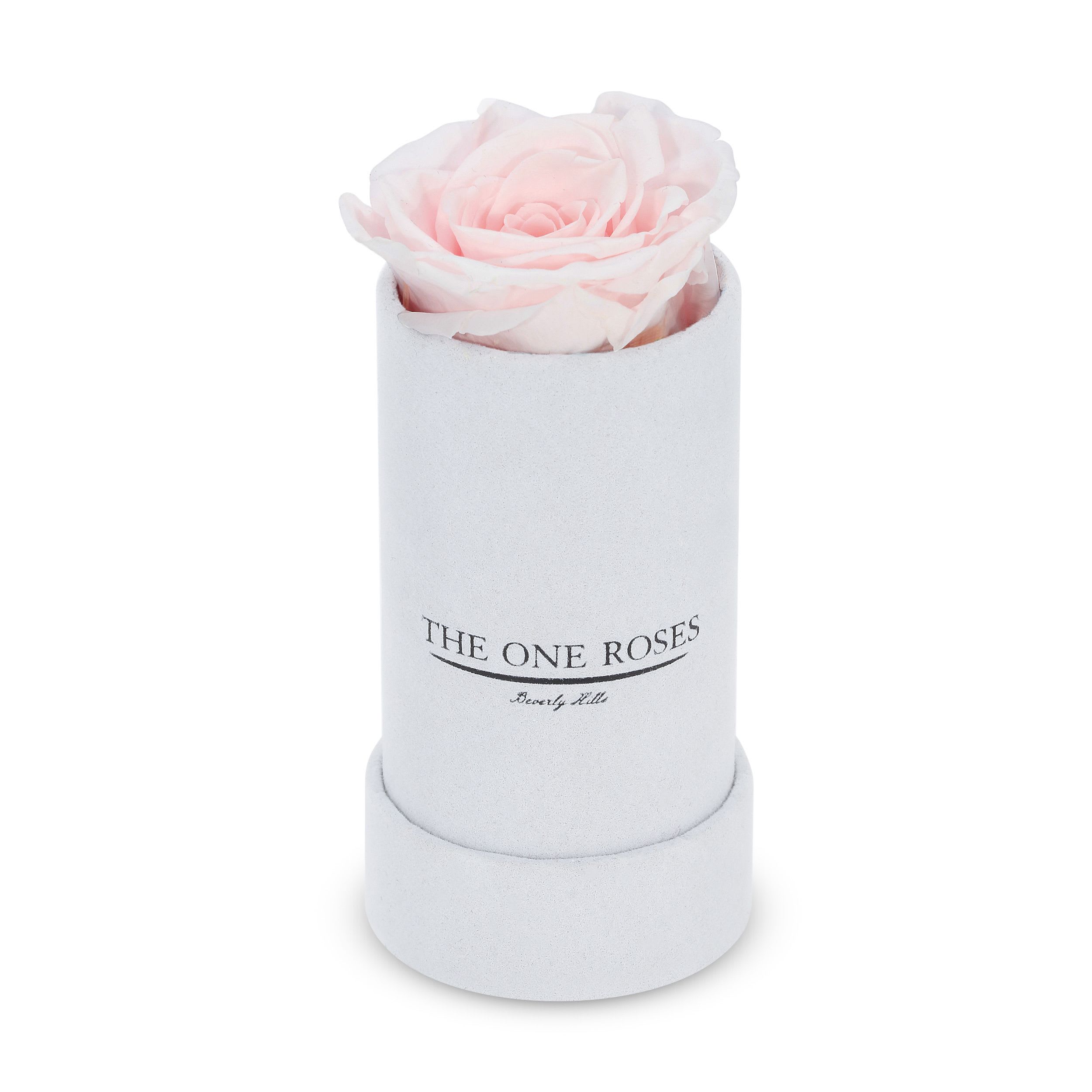 Suede Single | The One White Box Candy Rose Pink Suede Single | The One White Box Candy Rose Pink - Keep it simple with one single preserved rose that sits perfectly in its own suede box. Elegant in its solitude, this single rose will last for up to five years as a testament to your love. The perfect accessory to a beautiful ring when the moment is right for a proposal. Pick your rose color and order it today.   PRODUCT CARE Keep away from water and direct sunlight. Your roses feel comfortable in their box. Please do not remove them. We feel it is important to mention that all substances used in the preservation process are non-toxic, non-corrosive, non-carcinogenic. The solutions and colorants are the same as those used in food, and textile manufacturing, therefore, they do not represent any health or environmental risk.