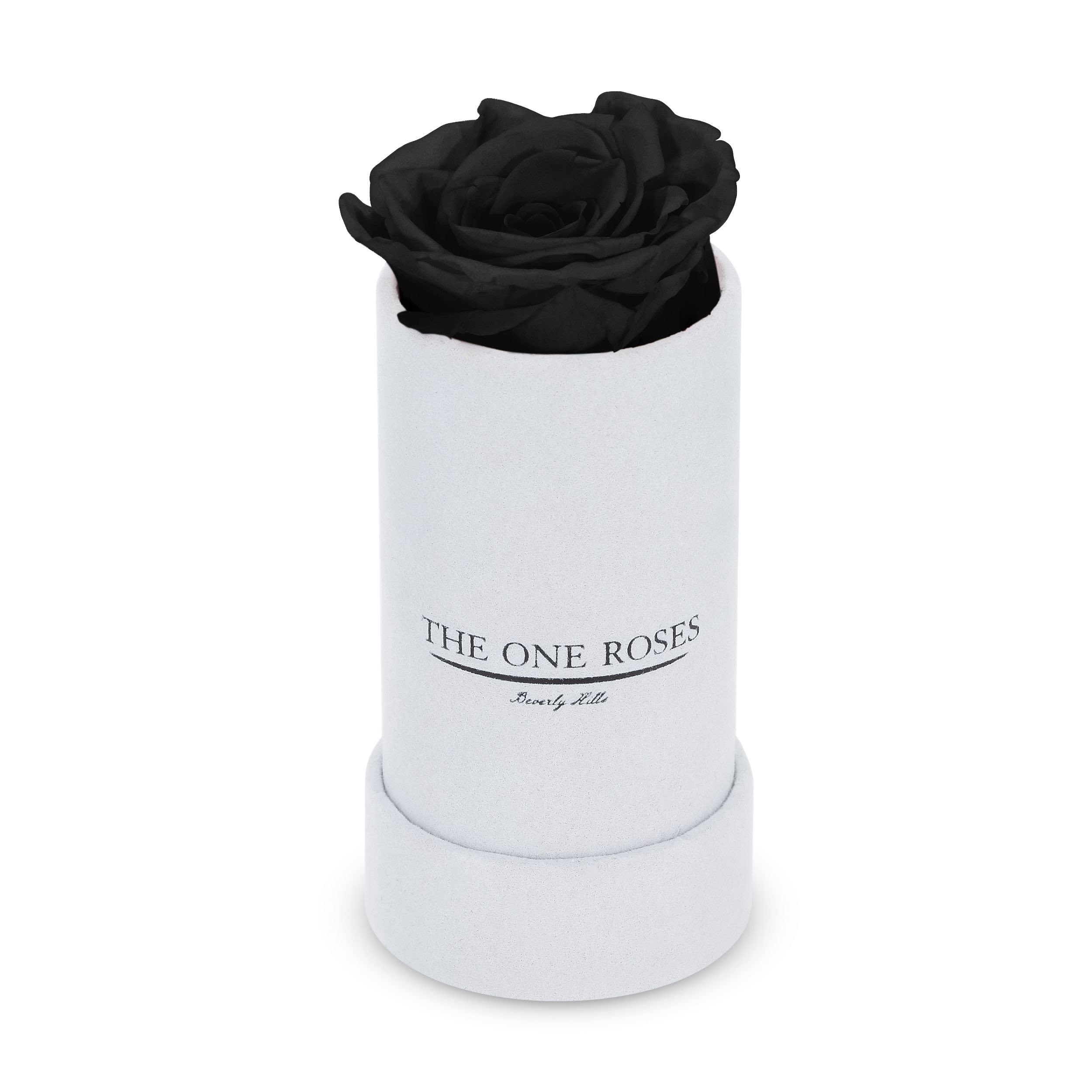 Suede Single | The One White Box Onyx Black Rose Suede Single | The One White Box Onyx Black Rose - Keep it simple with one single preserved rose that sits perfectly in its own suede box. Elegant in its solitude, this single rose will last for up to five years as a testament to your love. The perfect accessory to a beautiful ring when the moment is right for a proposal. Pick your rose color and order it today.   PRODUCT CARE Keep away from water and direct sunlight. Your roses feel comfortable in their box. Please do not remove them. We feel it is important to mention that all substances used in the preservation process are non-toxic, non-corrosive, non-carcinogenic. The solutions and colorants are the same as those used in food, and textile manufacturing, therefore, they do not represent any health or environmental risk.