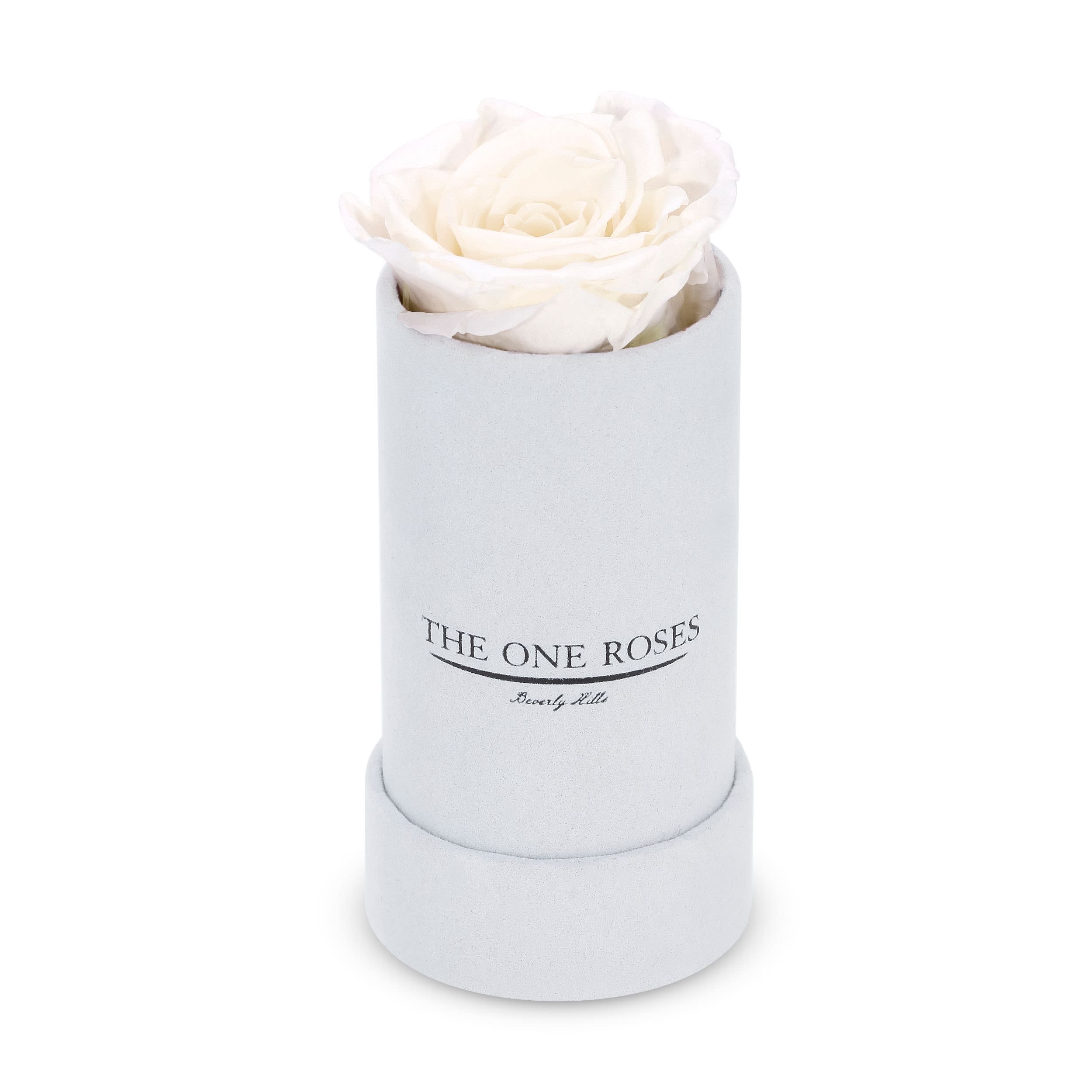 Suede Single | The One White Box Pearl White Rose Suede Single | The One White Box Pearl White Rose - Keep it simple with one single preserved rose that sits perfectly in its own suede box. Elegant in its solitude, this single rose will last for up to five years as a testament to your love. The perfect accessory to a beautiful ring when the moment is right for a proposal. Pick your rose color and order it today.   PRODUCT CARE Keep away from water and direct sunlight. Your roses feel comfortable in their box. Please do not remove them. We feel it is important to mention that all substances used in the preservation process are non-toxic, non-corrosive, non-carcinogenic. The solutions and colorants are the same as those used in food, and textile manufacturing, therefore, they do not represent any health or environmental risk.