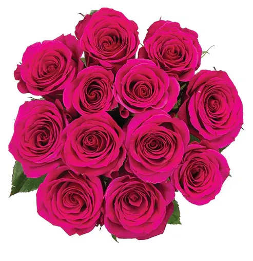 The One Rose Bouquet hot pink Luxury 48 stems The One Rose Bouquet hot pink Luxury 48 stems - Roses wrapped in a bouquet sleeve with a ribbon.