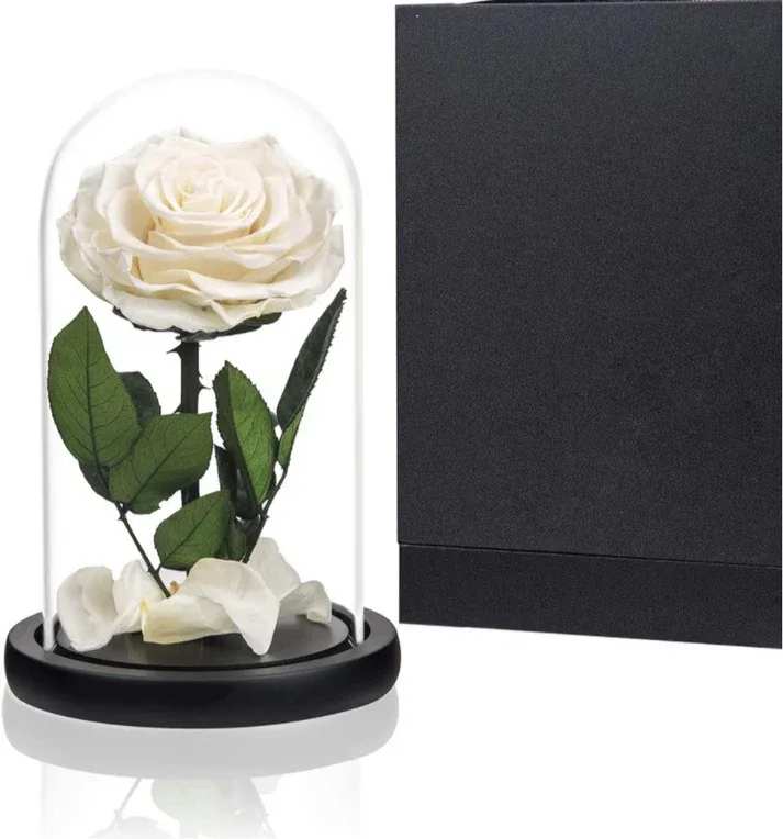 Enchanted Rose in a Glass Dome White Enchanted Rose in a Glass Dome White - The Enchanted Rose is the perfect way to celebrate a birthday, anniversary or Mother’s Day with someone you love. This unique display features an actual red rose, beautifully cut and preserved in a sealed glass dome. When kept in its sealed environment, it will last years, with absolutely no maintenance.