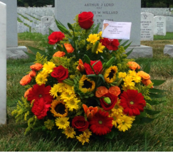  AUTUMN BASKET  - AUTUMN BASKET BY TWIN TOWERS FLORIST      As Shown : TT-ANC33 