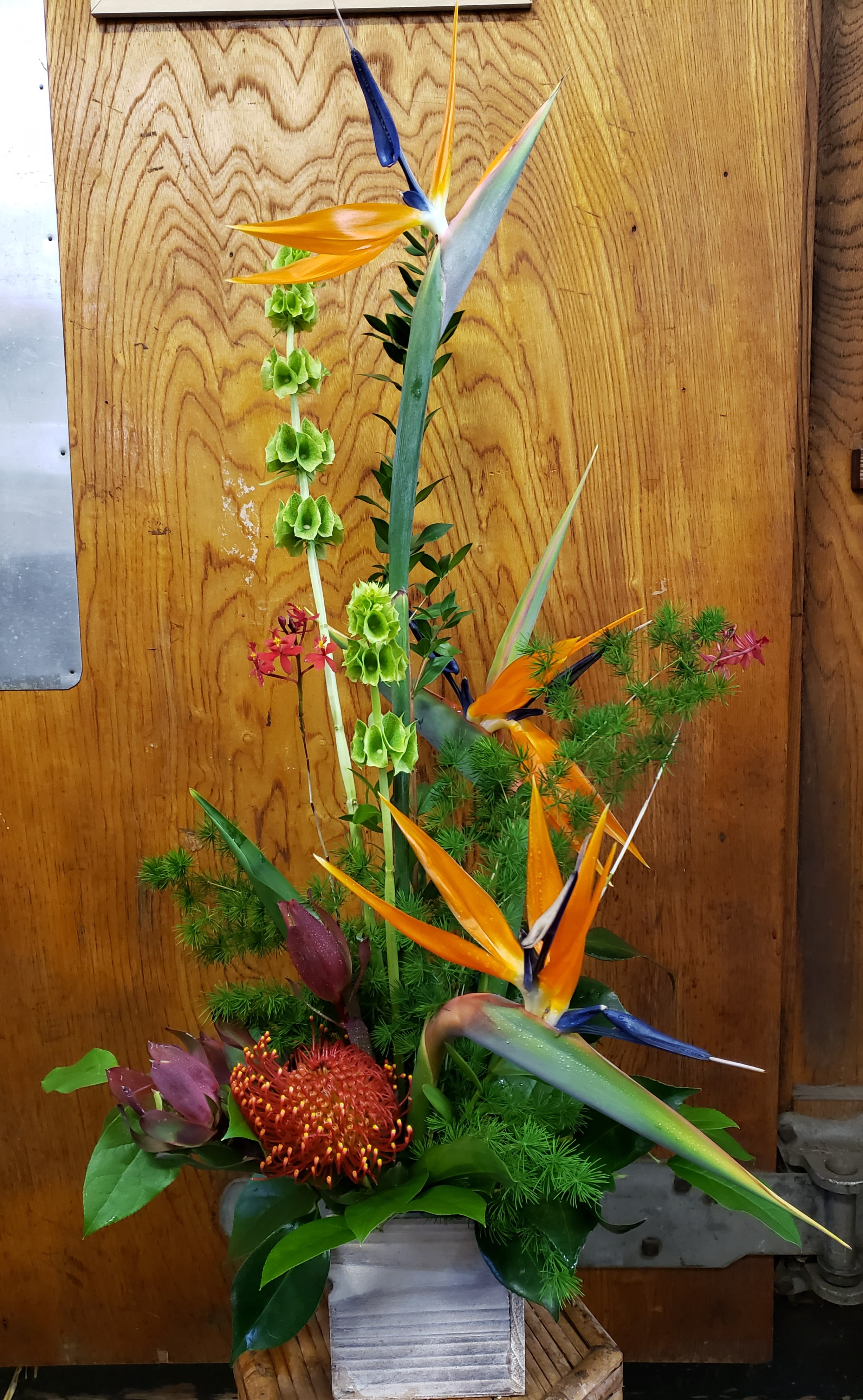 Tropical Breeze Tropical Breeze - Elegant Birds of Paradise paired with a pincushion protea and epidendrum orchids. Vibrant leucadendron foliage adds a bit of flair.