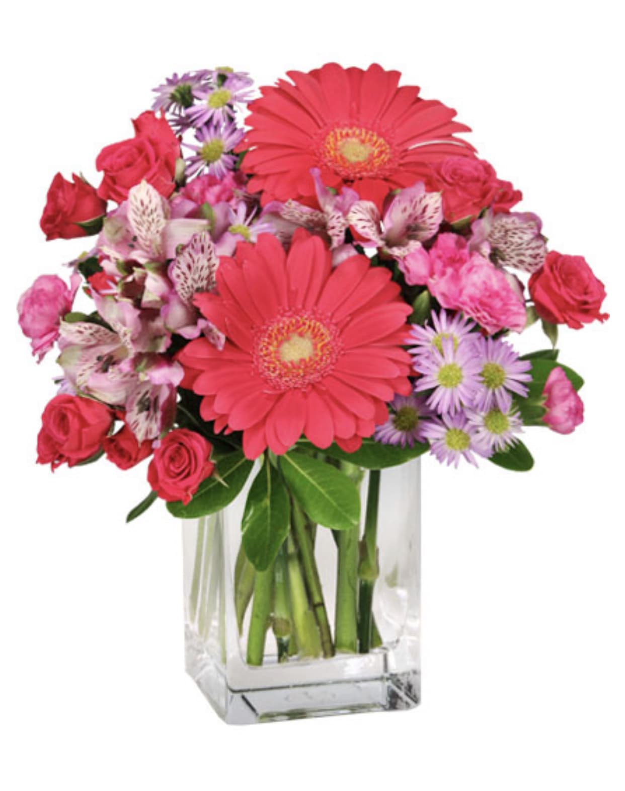 Vibrant Simplicity  - This flowers will add vibrancy and good mood to whoever you choose to present it to. 