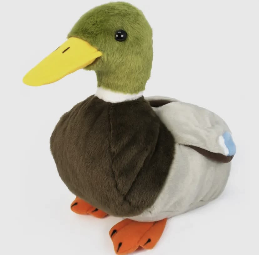 Dakota the Duck | 13 Inch Stuffed Animal Plush Dakota the Duck | 13 Inch Stuffed Animal Plush - Dakota the duck is an aquatic creature that can be found on every continent on Earth except for Antarctica. He has feathers all over her body that are nearly waterproof, helping him stay warm. Ducks are omnivorous and eat vegetation as well as insects and fish. Male ducks don't quack very often but females are known to be more vocal.