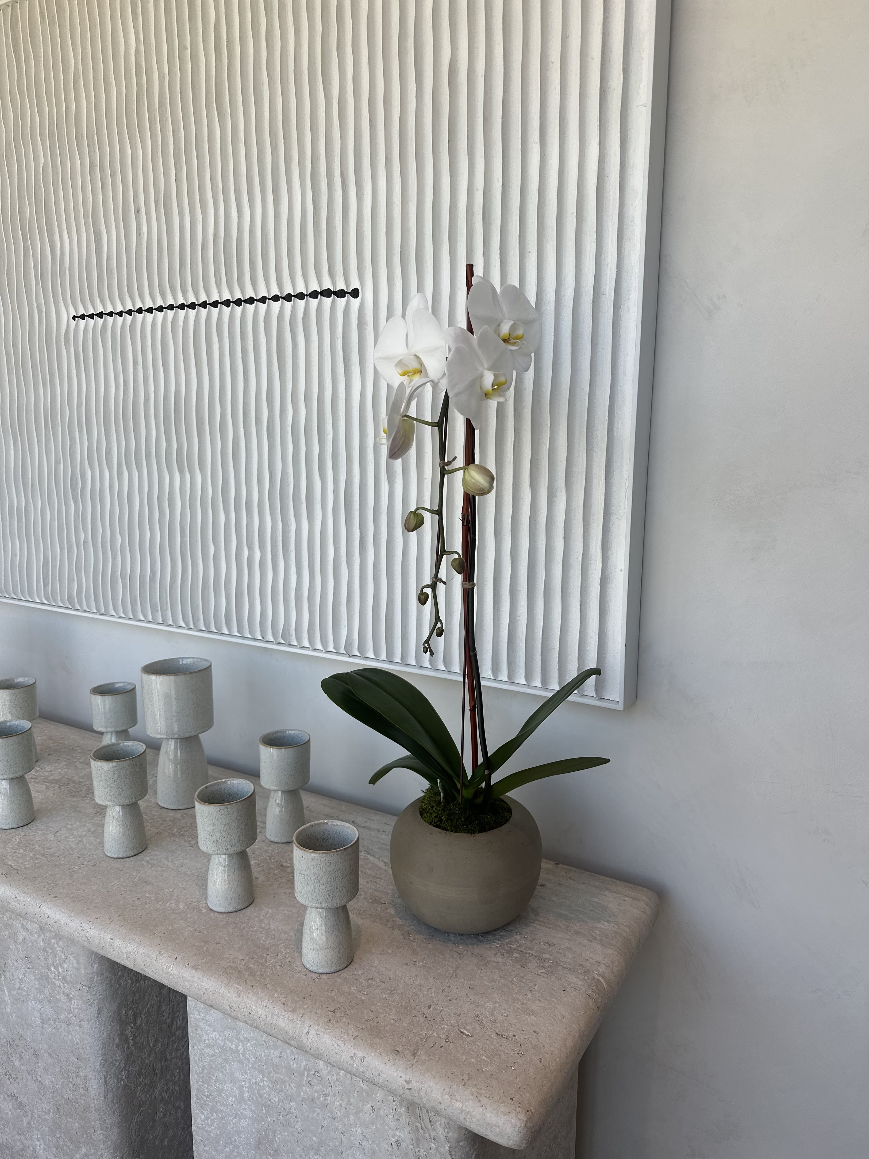 Zen Arc - A sleek, minimalist orchid planter with graceful white blooms, perfect for adding a calm, modern vibe to any space.