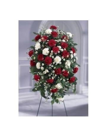 Crimson & White Standing Spray Crimson & White Standing Spray - This traditional spray is presented in red and white. Vibrant red carnations blend with white carnations Monte Casino and white button pompons. Delivered on an easel this one-sided design is suitable to send to the funeral home or service. Approx. 32 x 24 FCS24-3808