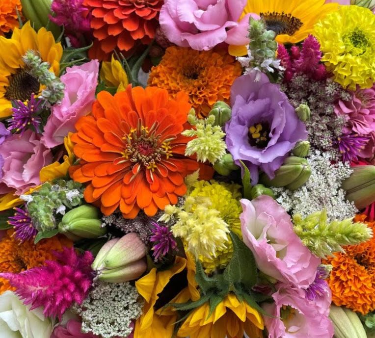 Designer's Choice Bouquet Designer's Choice Bouquet - Give the designer a color theme or favorite flower to work with or just let the designer choose and watch your arrangement bloom.