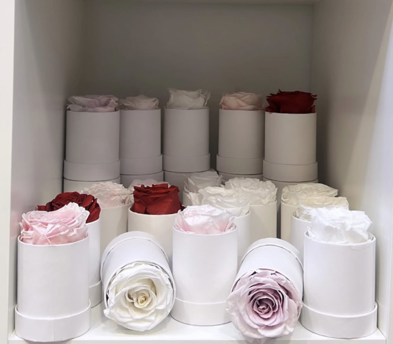 Single Preserved Rose - Keep it simple with one single preserved rose that sits perfectly in its own  box. Elegant in its solitude, this single rose will last for up to five years as a testament to your love. 