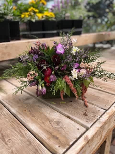 Purple Rain Purple Rain - Rectangular oasis of mixed blooms