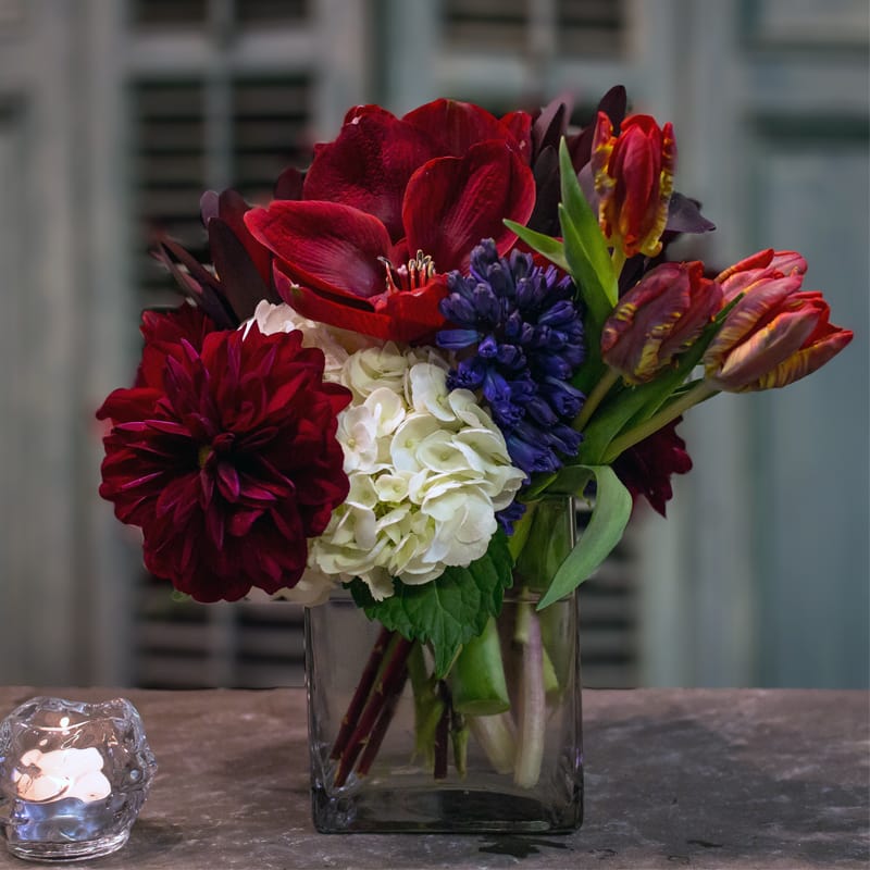 Blue Hyacinth in Red Bouquet Blue Hyacinth in Red Bouquet