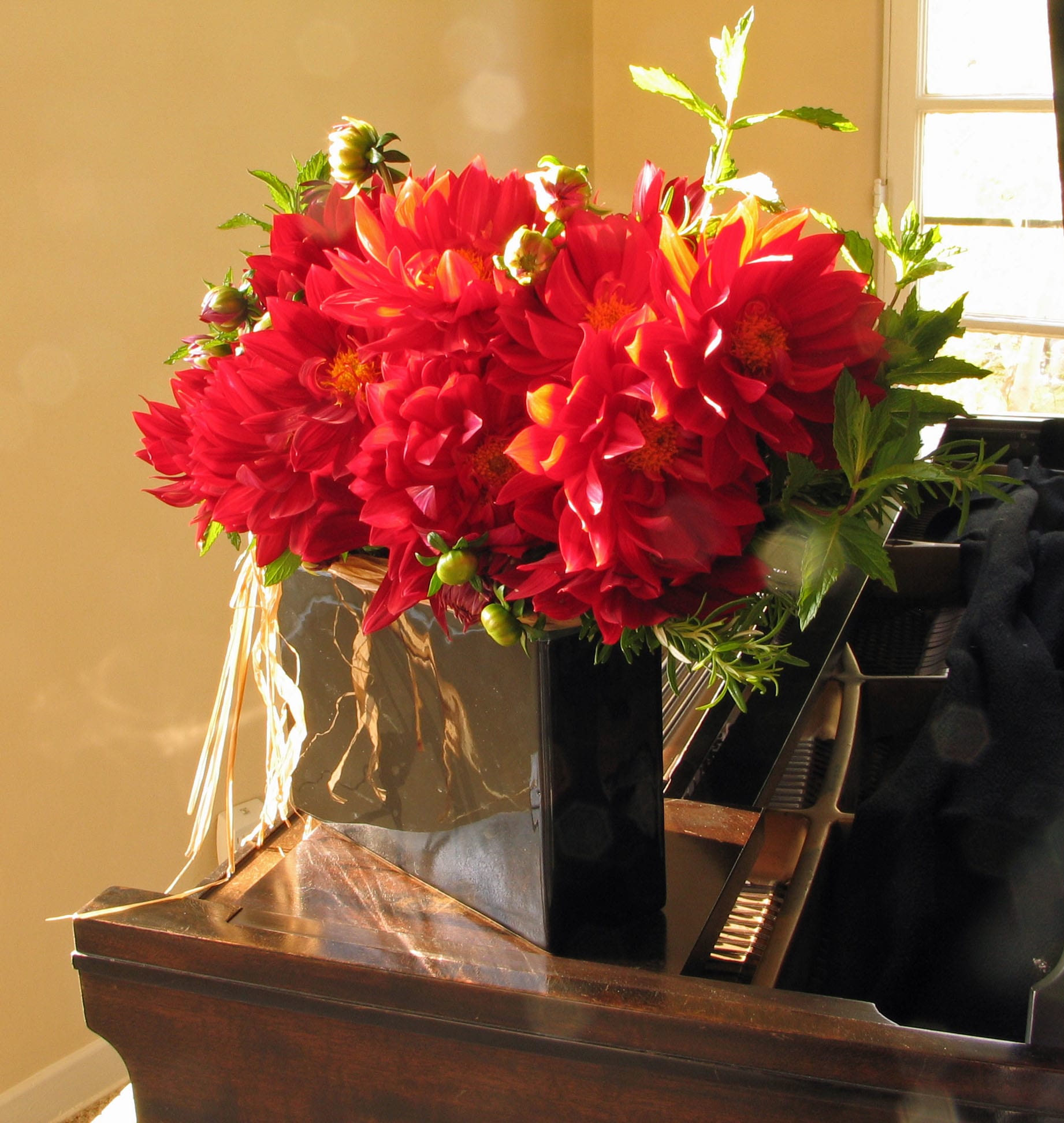 159 tall rectangle 159 tall rectangle - Dinner Plate Dahlia Arrangement with Organic Mint from T'sul Custom Floral Design in Newport Beach, CA Discover the breathtaking beauty of our Dinner Plate Dahlia Arrangement, expertly designed with vibrant dahlias and organic mint, available exclusively at T'sul Custom Floral Design in Newport Beach, CA. This stunning arrangement is offered in your choice of a stylish ceramic or glass rectangular vase, providing the perfect addition to any dining table, office space, or special event. Our gorgeous selection features large, eye-catching dahlias known for their striking colors and shapes, complemented by fresh organic mint that adds a delightful aroma. This elegant floral arrangement not only enhances your decor but also brings a touch of nature indoors. Key Features: Gorgeous Dinner Plate Dahlias paired with aromatic organic mint Available in a modern ceramic or timeless glass rectangular vase Perfect for dining tables, special occasions, home decor, or as a thoughtful gift Crafted with the freshest, locally sourced flowers to ensure quality and longevity Brighten your Newport Beach home or office with T'sul Custom Floral Design’s Dinner Plate Dahlia Arrangement with Organic Mint. Order today to bring a touch of elegance and freshness to any space!