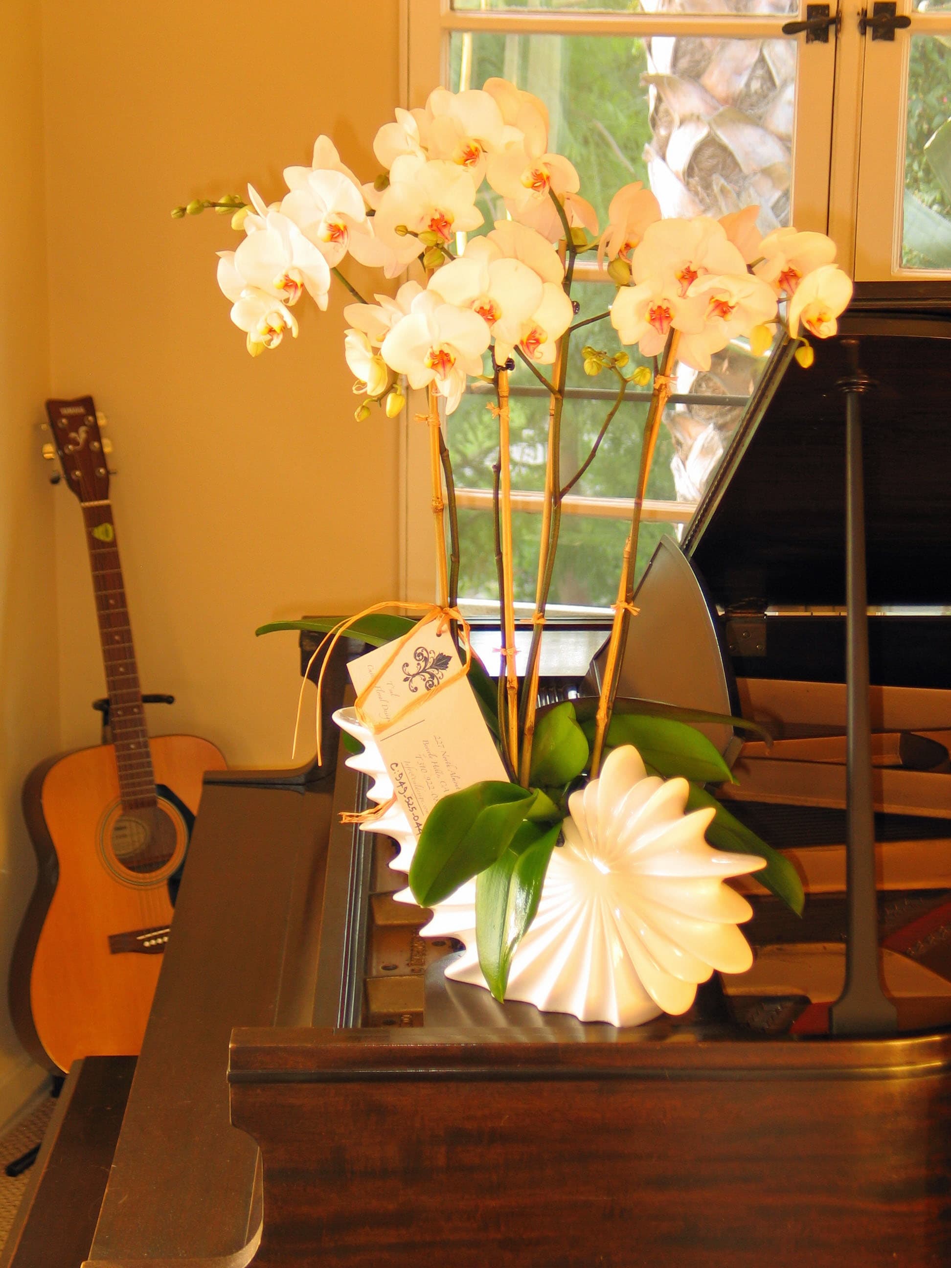 189 Multistem orchids - Multistem Orchid Arrangement in Elegant Ceramic Vases from T'sul Custom Floral Design in Newport Beach, CA  Discover the beauty of multistem orchids in a variety of stunning ceramic vases, exclusively at T'sul Custom Floral Design in Newport Beach, CA. Our exquisite orchid arrangements showcase multiple stems, offering a luxurious and sophisticated display perfect for enhancing any space.  Available in an array of stylish ceramic vases, each arrangement is designed to elevate your home, office, or special event. These graceful orchids not only add a touch of elegance but also create a serene ambiance, making them an ideal choice for weddings, corporate events, or as a thoughtful gift for loved ones.  Key Features:  Vibrant multistem orchid arrangements in an array of beautiful ceramic vases Perfect for home decor, corporate settings, or special occasions Available in various colors and styles to match your decor preferences Expertly arranged with high-quality orchids for lasting beauty and freshness Enhance your Newport Beach space with a stunning multistem orchid arrangement from T'sul Custom Floral Design. Order today to infuse your surroundings with elegance and the enchanting beauty of orchids!