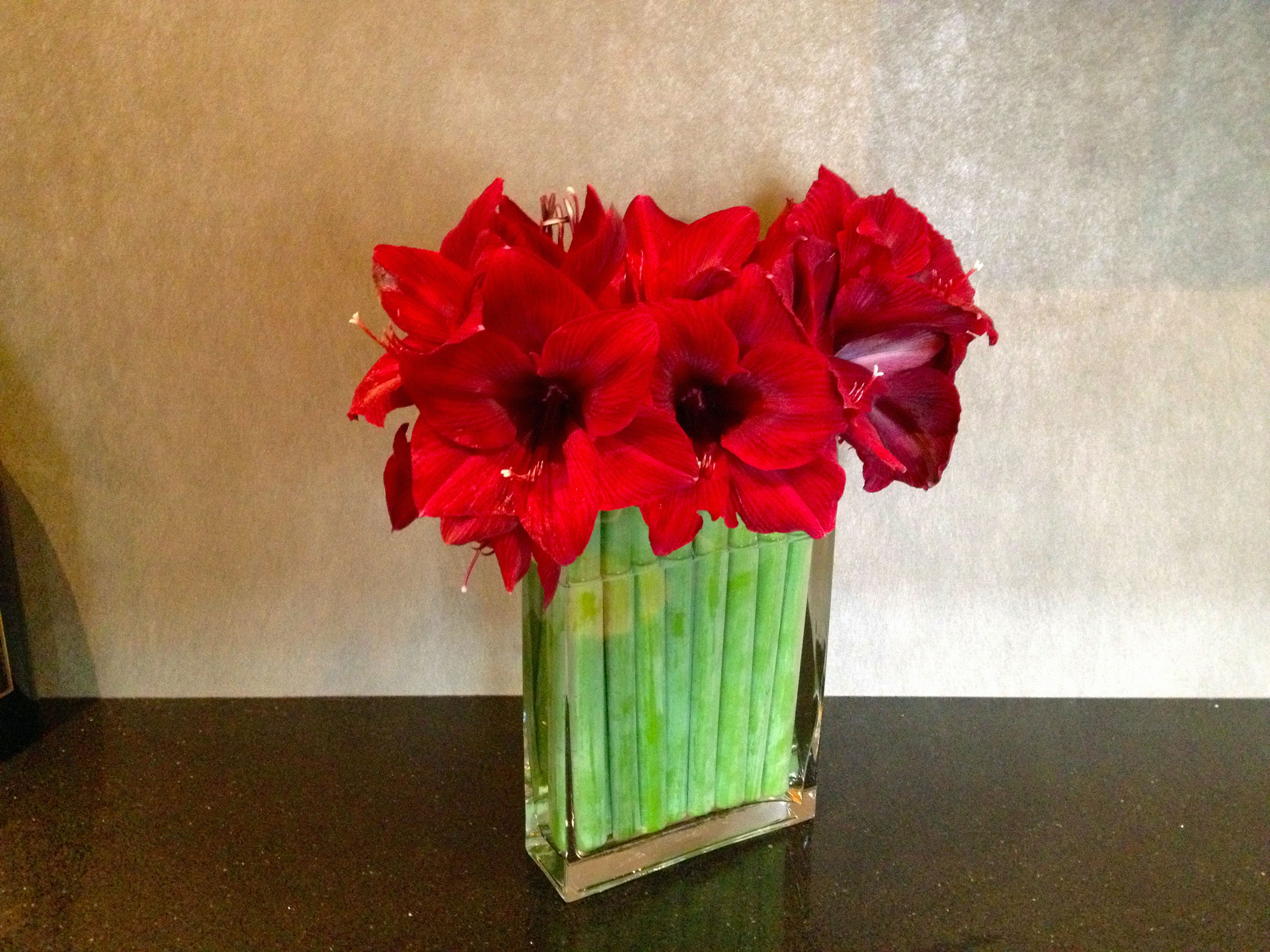 99 Upright  - Contemporary Stand-Up Display of Solitary Tubular Flowers from T'sul Custom Floral Design in Newport Beach, CA  Elevate your decor with our stunning Contemporary Stand-Up Display featuring a solitary tubular flower arrangement, exclusively created by T'sul Custom Floral Design in Newport Beach, CA. This modern floral display is designed to make a bold statement, showcasing the beauty and simplicity of tubular blooms in a sleek and sophisticated manner.  Perfect for any setting, this contemporary arrangement works beautifully as a centerpiece for weddings, corporate events, or as an eye-catching accent in your home or office. The elegant design adds a touch of refinement and is sure to impress anyone who sees it.  Key Features:  Unique stand-up display that highlights a solitary tubular flower for a modern aesthetic Ideal for home decor, special events, or as an upscale gift Crafted with high-quality, fresh flowers for lasting beauty and impact Perfect for creating a contemporary focal point in any space Transform your Newport Beach environment with T'sul Custom Floral Design’s exquisite Contemporary Stand-Up Display of solitary tubular flowers. Order today to bring a fresh, modern look to your floral arrangement!  Copy Regenerate