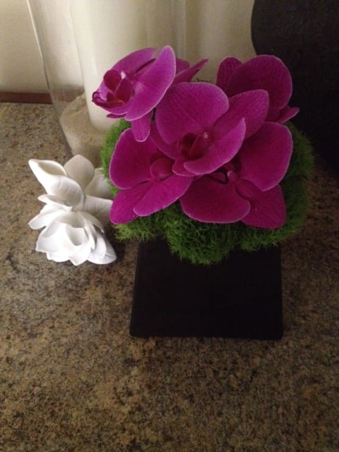 Elegant Fuschia Orchids and Greens - Elegant Orchid Bloom Arrangement in Pyramid or Globe-Shaped Vase from T'sul Custom Floral Design in Newport Beach, CA  Elevate your floral decor with our stunning arrangement of elegant orchid blooms, available in either a stylish pyramid or globe-shaped vase, exclusively from T'sul Custom Floral Design in Newport Beach, CA. This exquisite floral display captures the timeless beauty of orchids, making it a perfect centerpiece for any setting, whether at home, in the office, or for special occasions.  Our meticulously arranged orchids add a touch of sophistication and grace to your decor. The choice of pyramid or globe-shaped vase enhances the visual appeal and creates a striking focal point in any room.  Key Features:  Beautifully arranged orchid blooms in a choice of stunning vases Available in modern pyramid or elegant globe shapes for versatile styling Ideal for home decor, corporate gifts, weddings, or special events Crafted with high-quality, fresh orchids for lasting beauty and fragrance Transform your space with T'sul Custom Floral Design’s elegant orchid bloom arrangement in your preferred vase shape. Order today to experience the enchanting beauty of fresh orchids and elevate your Newport Beach home!