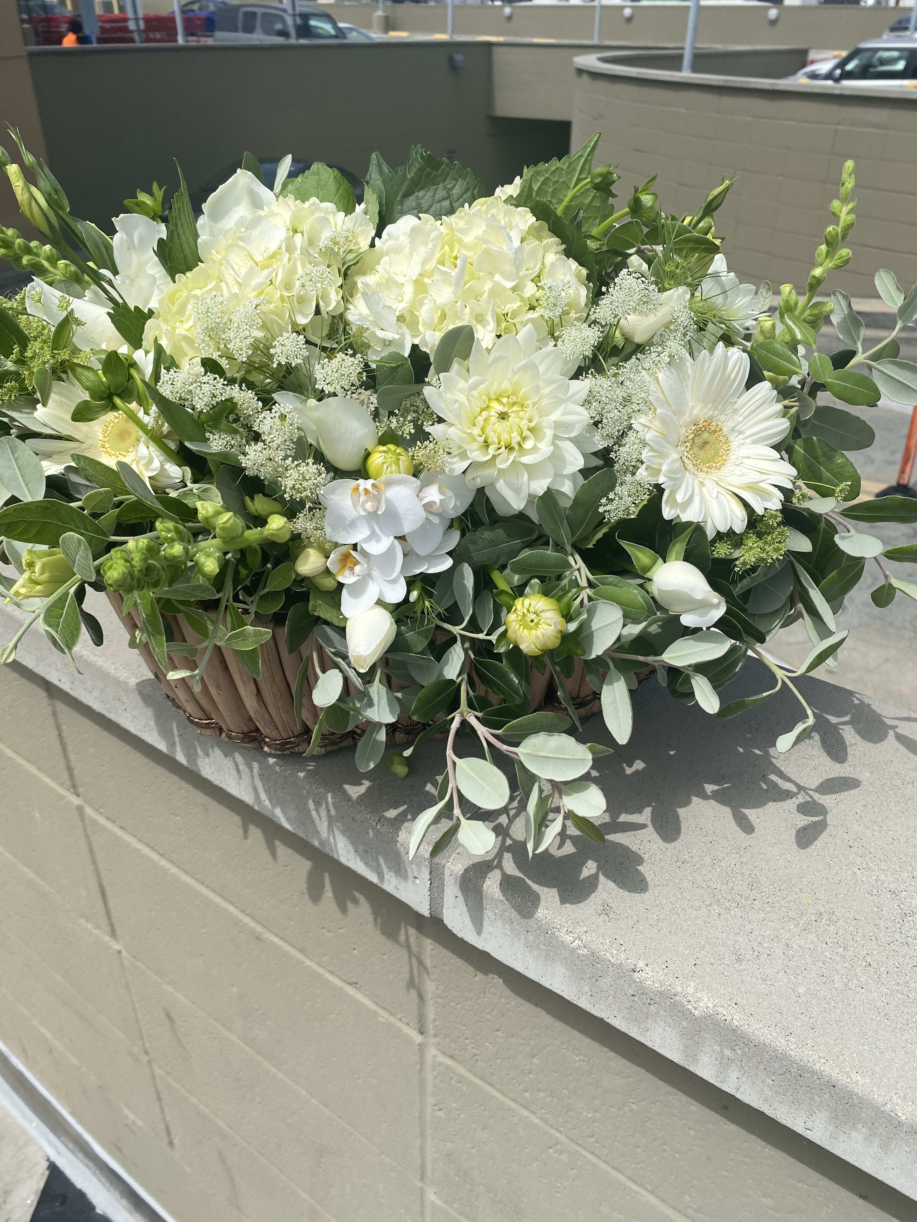 SYMPATHY BASKET- on sale was $120 - ALL WHITE EXQUISITE BLOOMS OF HYDRANGEA, ORCHID, ROSES AND MORE.,,