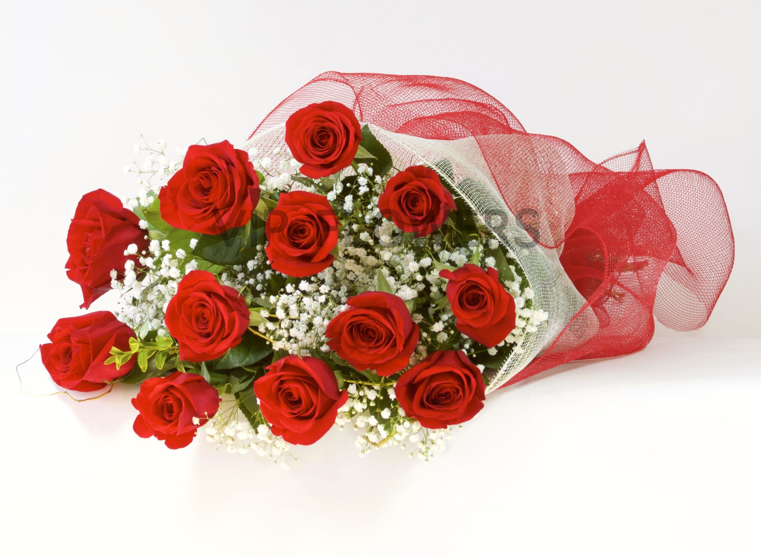 1 Dozen Roses Long Stem Hand-Tie - Substitutions may be necessary to ensure your arrangement or specialty gift is delivered in a timely manner. The utmost care and attention is given to your order to ensure that it is as similar as possible to the requested item (Please note that some flowers and colors may vary due to seasonality.)