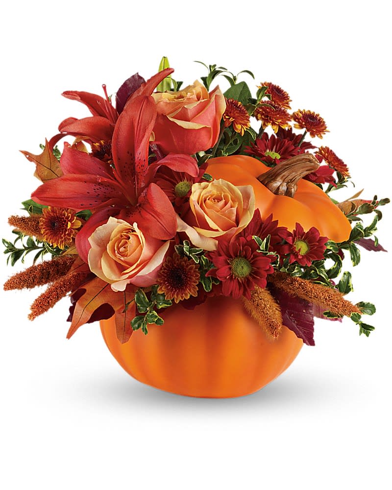 Autumn's Joy by Teleflora - Fall in love with this charming arrangement. Orange roses dark orange asiatic lilies bronze button spray chrysanthemums and burgundy copper beech leaves fill our best-selling ceramic pumpkin. It's a versatile keepsake that adds character all season long. This rustic arrangement includes orange roses and asiatic lilies bronze button spray chrysanthemums and red daisy spray chrysanthemums finished with accents of burgundy copper beech brown china millet and brown and yellow oak leaves. Delivered in a ceramic pumpkin.