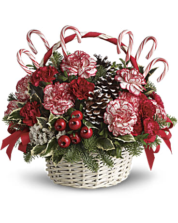 Candy Cane Christmas - Take a walk through a candy cane forest with this fun, festive basket! This Christmas floral arrangement stars unique peppermint carnations and edible candy canes amongst fragrant fir, pinecones and berries. It's an easy way to send the Christmas spirit to someone far away! A white basket with candy cane style handle is filled with peppermint and red carnations, variegated holly, noble fir and white statice, then decorated with frosted pinecones, edible candy canes, berries and red ribbon.