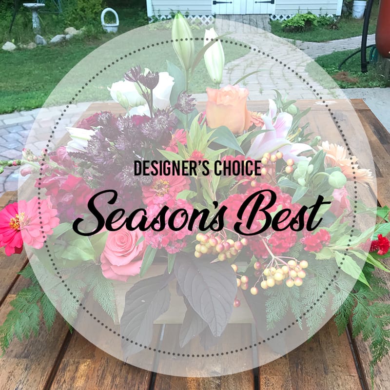 Season's Best - We are in the throws of the season! We have partnered with the best of the best in flower farms, bringing the freshest, long lasting floral from farm to (any) table. Bring the season in and send that someone(s) a reminder of just how &quot;thought of&quot; they may be. 