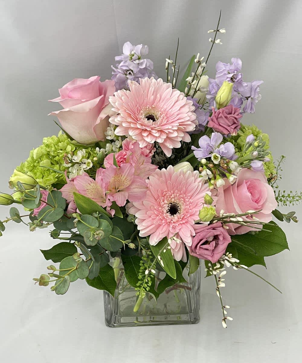 Hola Spring! Hola Spring! - A gorgeous menagerie of hydrangea gerberas, roses, astromelia stock and wax flower in soft pastels.