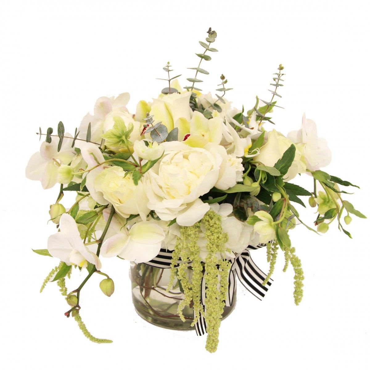 Snowfall &amp; Petals - Embrace the beauty of winter with Snowfall &amp; Petals. This elegant arrangement features delicate white hydrangea, soft peonies, pristine Phalaenopsis orchids, and charming helleborus, all beautifully wrapped in a striped ribbon and bow. The perfect blend of winter's serene whites and the graceful allure of blooming florals, this bouquet brings a touch of sophistication and tranquility to any occasion.
