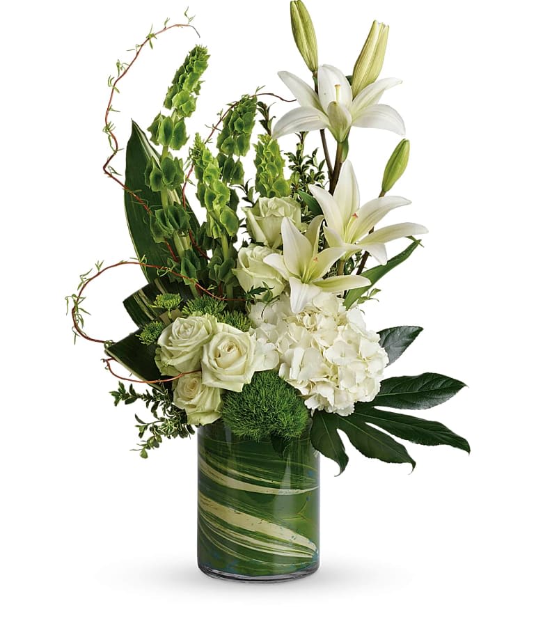 Botanical Beauty - Snow white blooms and eye-catching greens create this beautiful botanical gift that's a peaceful addition to any occasion. This modern bouquet includes white hydrangea, green roses, white asiatic lilies, green trick dianthus, bells of Ireland, green button spray chrysanthemums, curly willow, oregonia, variegated aspidistra leaves, small aralia leaf, green ti leaf, and lemon leaf. Delivered in a cylinder vase. Approximately 18 1/2&quot; W x 27&quot; H