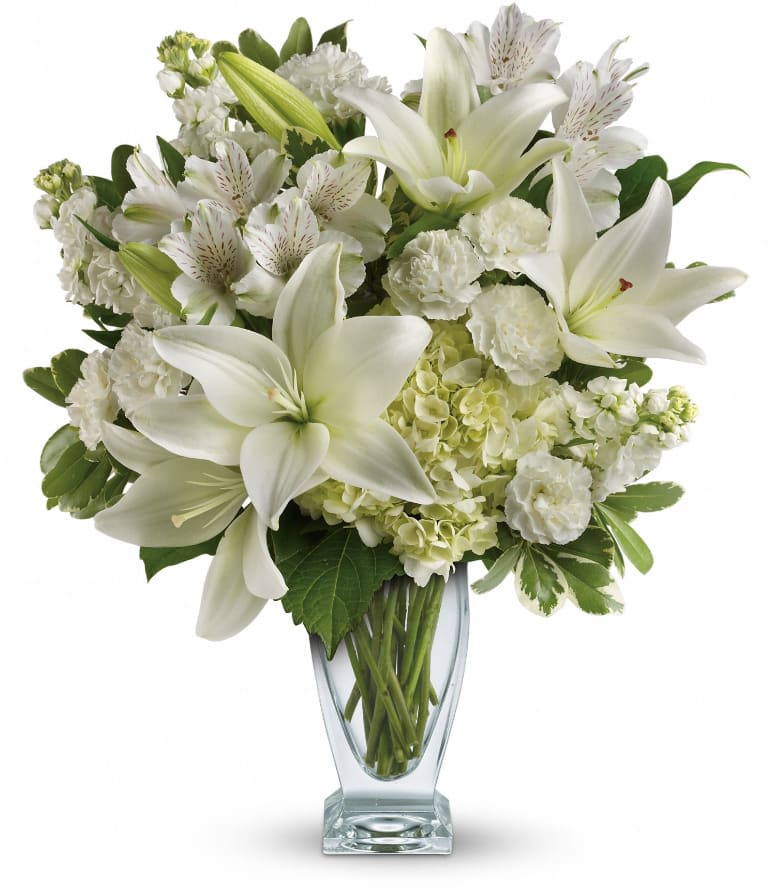 Purest Love Bouquet - Who's the fairest of them all? This snow-white bouquet. A stunning statement of your purest love, this mix of hydrangea and lilies in a Couture vase will take their heart away. This snow-white bouquet includes hydrangea, asiatic lilies, alstroemeria, miniature carnations, stock and fresh green pittosporum. Delivered in a Couture vase. Approximately 15 1/2&quot; W x 18&quot; H