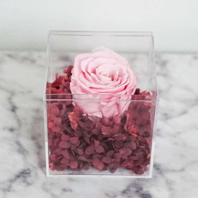 Forever Rose - Pink and Mauve - A Light Pink Forever Rose lays elegantly in a bed of Preserved Hydrangea. With the proper care, this Rose can last years and years.   All Forever Rose Boxes include a care card and floral info sheet.