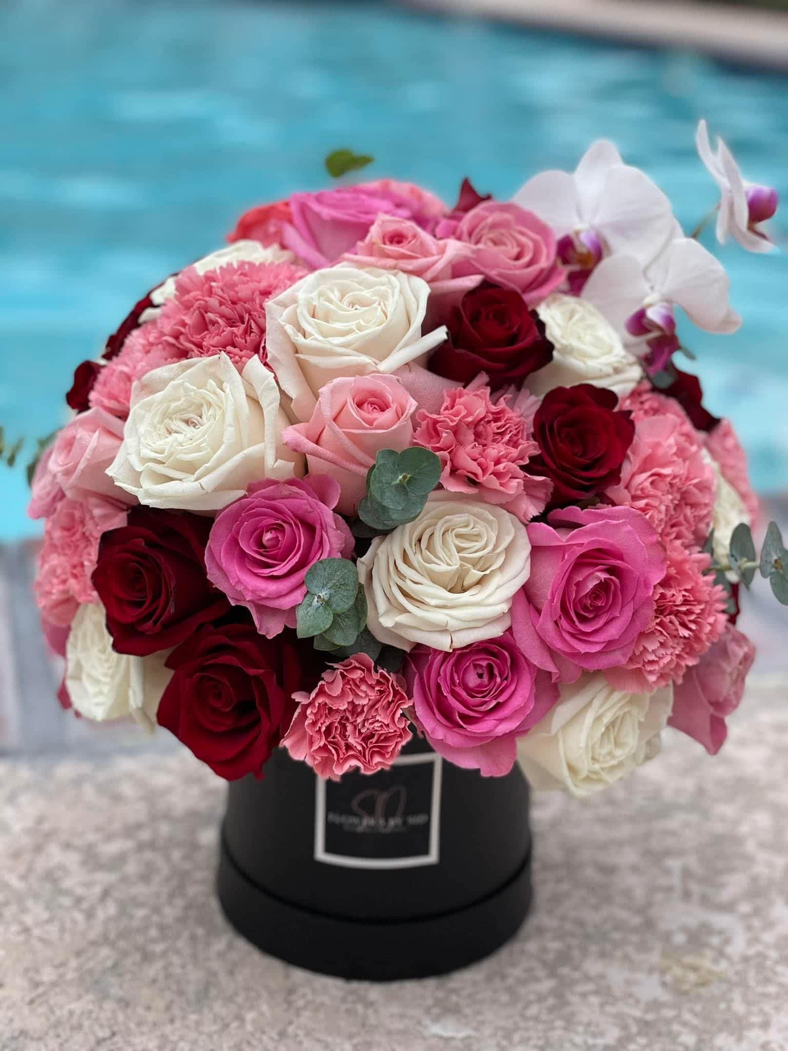 Roses, carnations, orchid and eucalyptus.  - Beautiful dome shaped arrangement, great combination of roses, carnations and orchid.  carboard cylinder shaped box or ceramic vase. Customable colors available.  