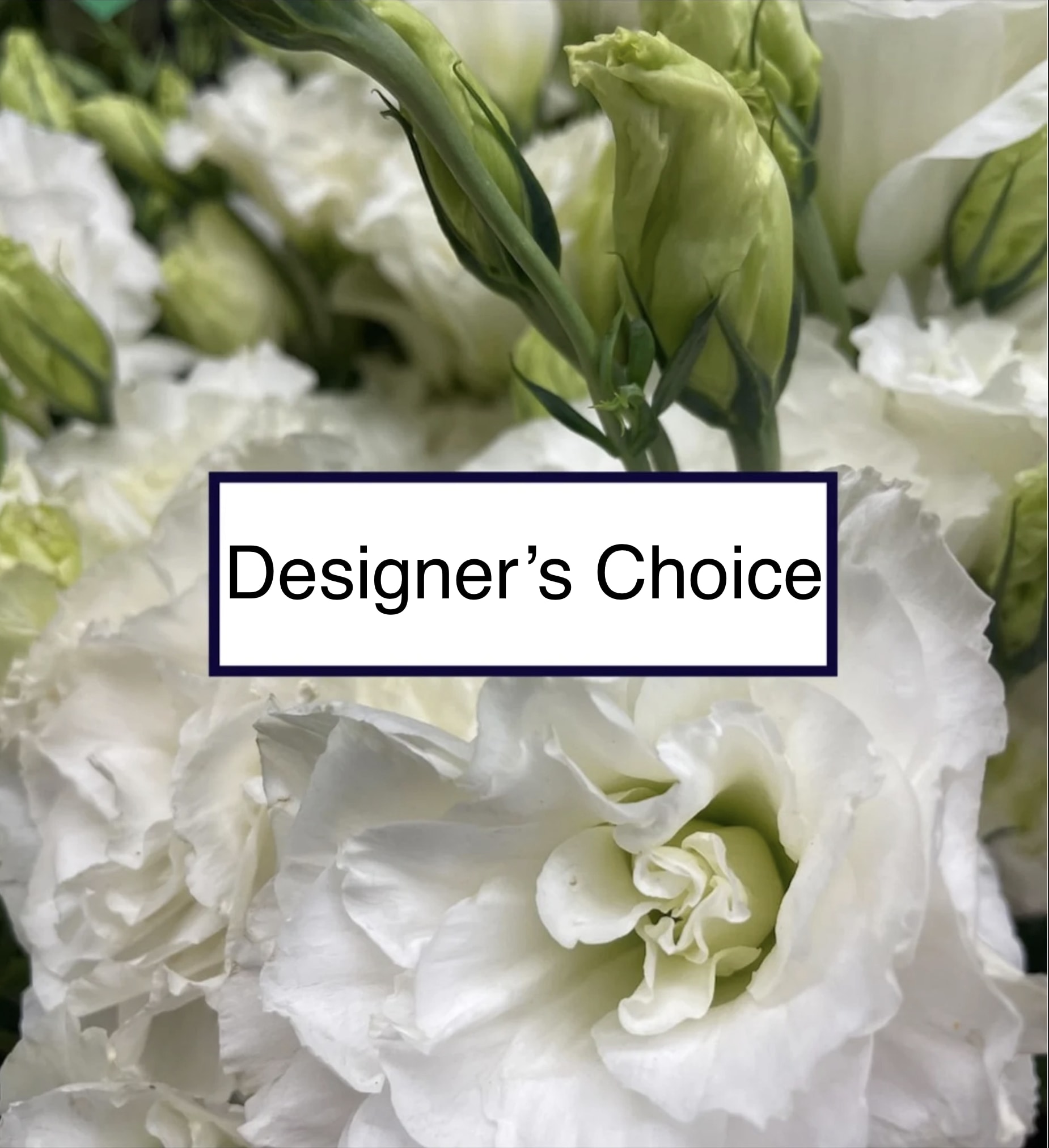 Designer's Choice Designer's Choice - Designers Choice