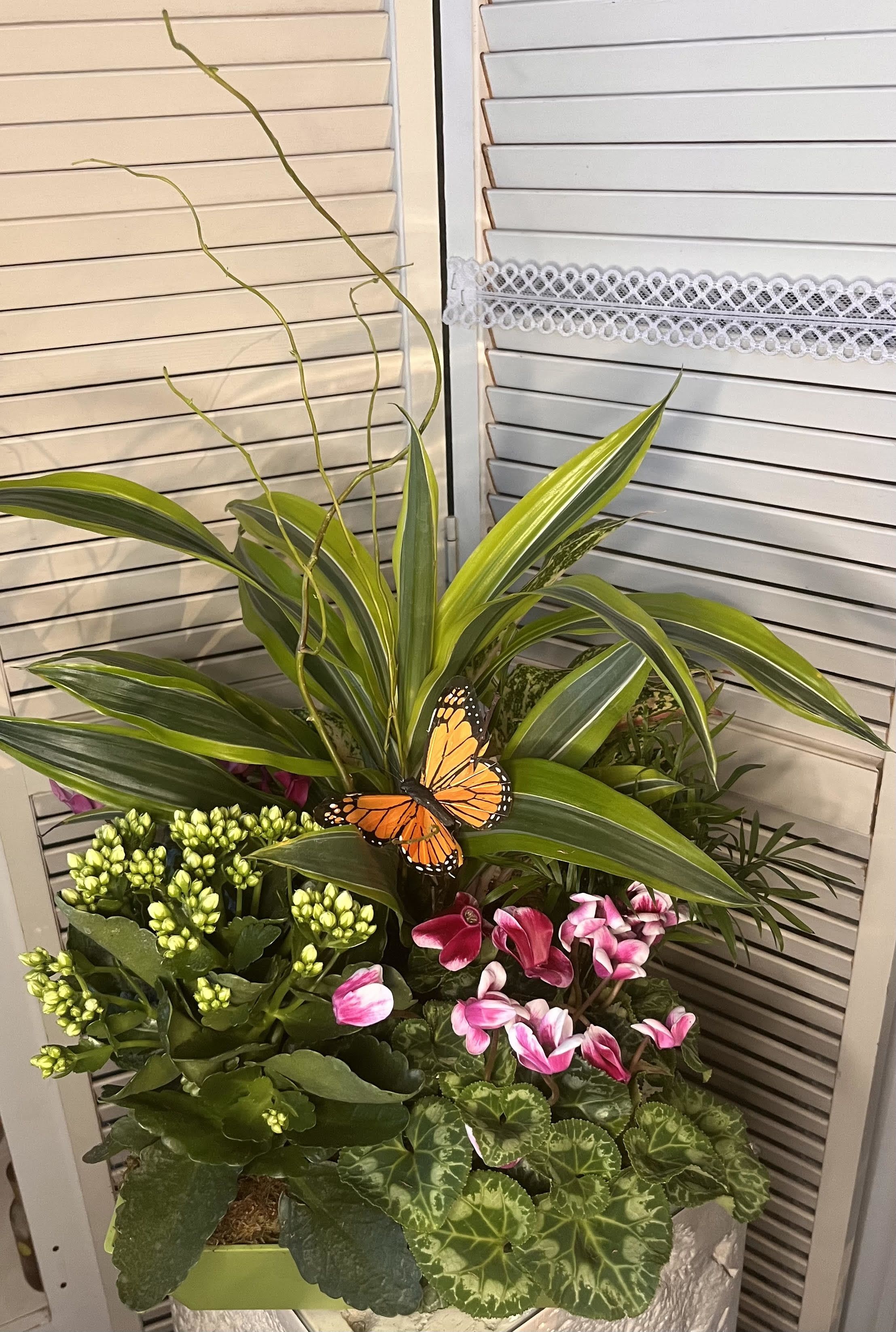 Blooms and Butterfly  - If you enjoy plants, you will love these mix garden with green plant and blooming plants