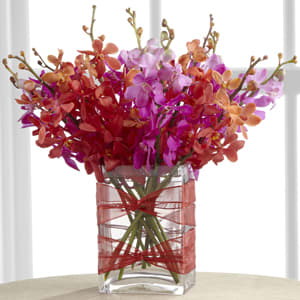 Perfect Harmony Bouquet - The Perfect Harmony Bouquet is a bright burst of incredible color and texture set to create a lasting impression. Red and fuchsia Mokara orchids are brought together to capture your special recipient's attention, arranged beautifully in a rectangular clear glass vase accented with a sheer red wired ribbon, for a modern and sophisticated look.