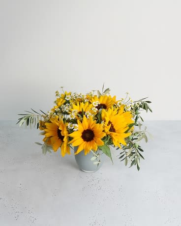 Sweet Sunflower Sweet Sunflower - Brighten someone’s day with a cheerful collection of late summer flowers. Large and miniature sunflowers are complemented by crisp white chamomile blooms and lofty olive branches for a textured and energetic display. Sweetly set in a gray glass vase.