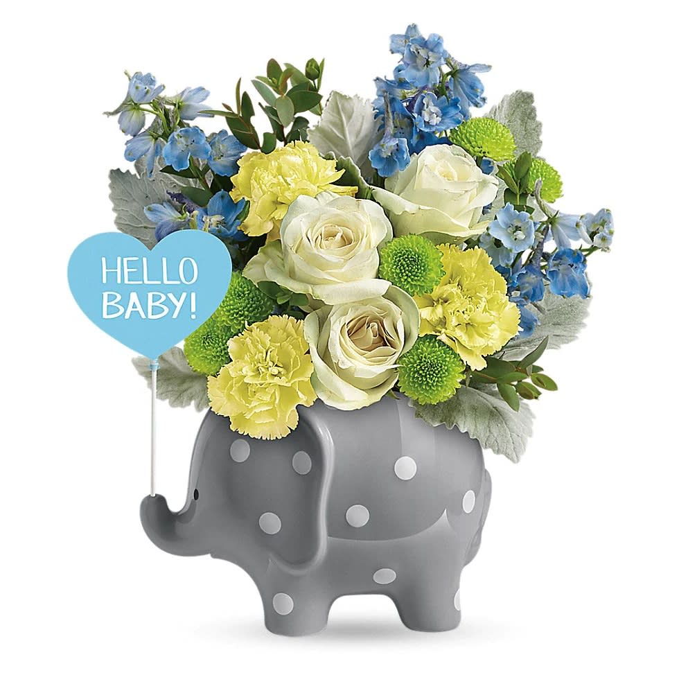 Hello Sweet Baby - Boy - Oh boy! Make baby's arrival feel as special as it is with this gorgeous bouquet of fresh blooms, delivered in a charming ceramic elephant keepsake. This adorable gift features white roses, yellow carnations, light blue delphinium, green button spray chrysanthemums, parvifolia eucalyptus, and dusty miller. Delivered in the Hello Baby Elephant. Orientation: One-Sided