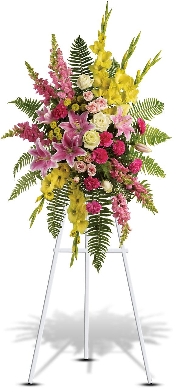 RAYS OF LIGHT SPRAY RAYS OF LIGHT SPRAY - Send your deepest condolences with these tropical sympathy flowers for the service. The bright yellows and peaceful pinks in this standing spray create an impressively balanced display. This beautiful spray includes green roses, yellow gladioli and chrysanthemums, plus pink roses, carnations, snapdragons, oriental lilies and ferns.