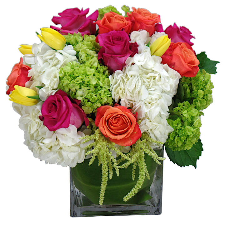 To Cheer You - a combination of orange and pink roses, yellow tulips, and white and green hydrangea surrounded with a ti leaf in a square glass vase