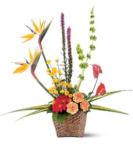 Tropical Reflections [TF187-5] - This striking basket of tropical flowers reflects your warmest thoughts to all who are in attendance. Perfect for the service or home.  One arrangement arrives with red anthuriums and orange carnations, along with bells of Ireland and birds of paradise, in a decorative basket.  Approximately 30&quot; W x 31&quot; H  Orientation: One-Sided      As Shown : TF187-5  