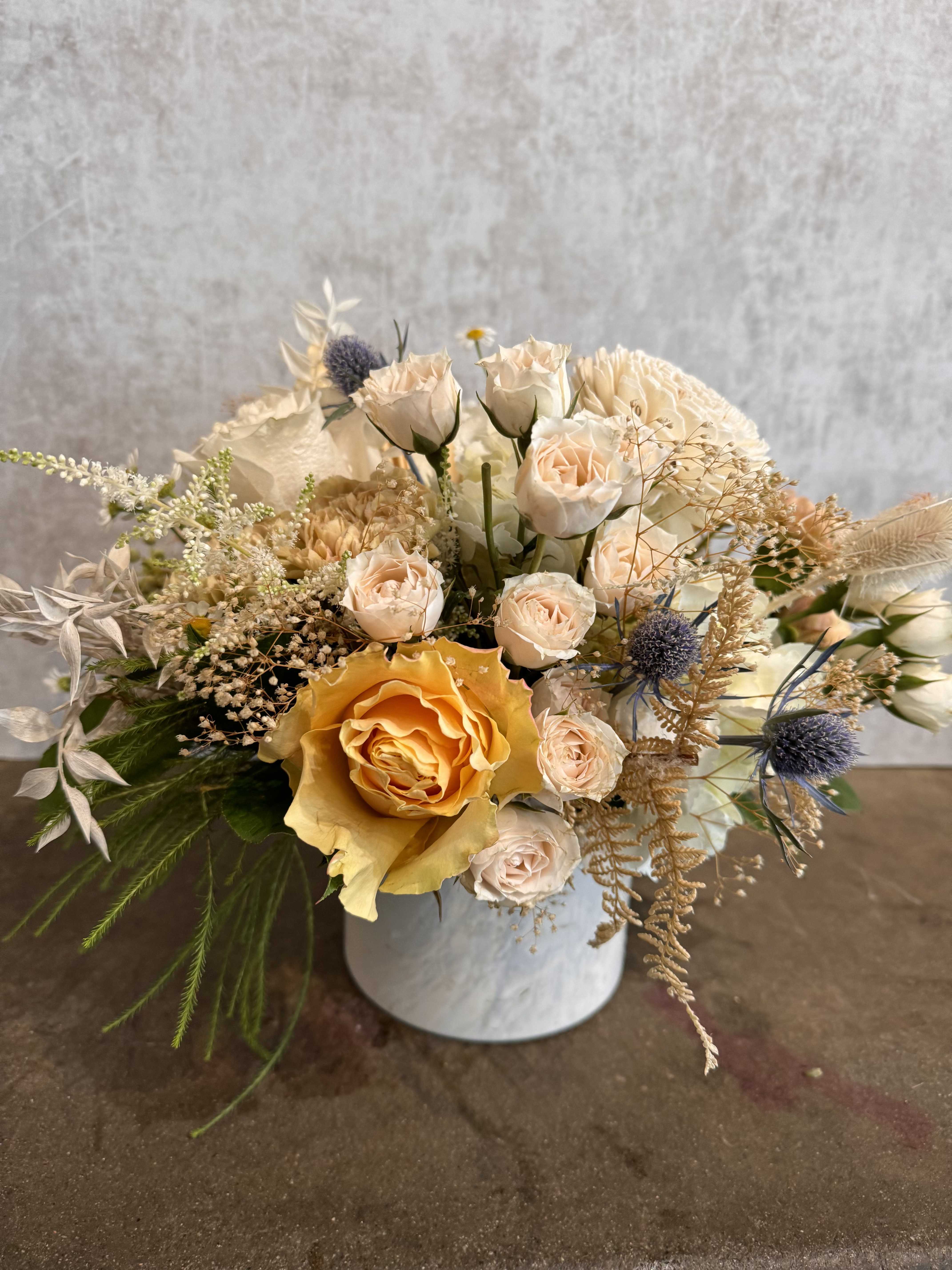 Soft Harvest Bloom by Growing Wild