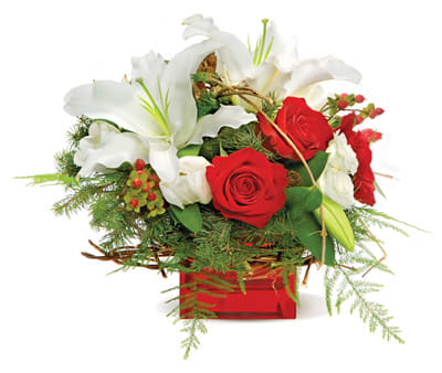 Modern Red Rose and Lily Cube Modern Red Rose and Lily Cube - Send this truly original, contemporary bouquet of gorgeous red roses and elegant lilies, hand-arranged in a stylish glass cube vase, and she'll think it's the perfect accessory for her modern sensibility.