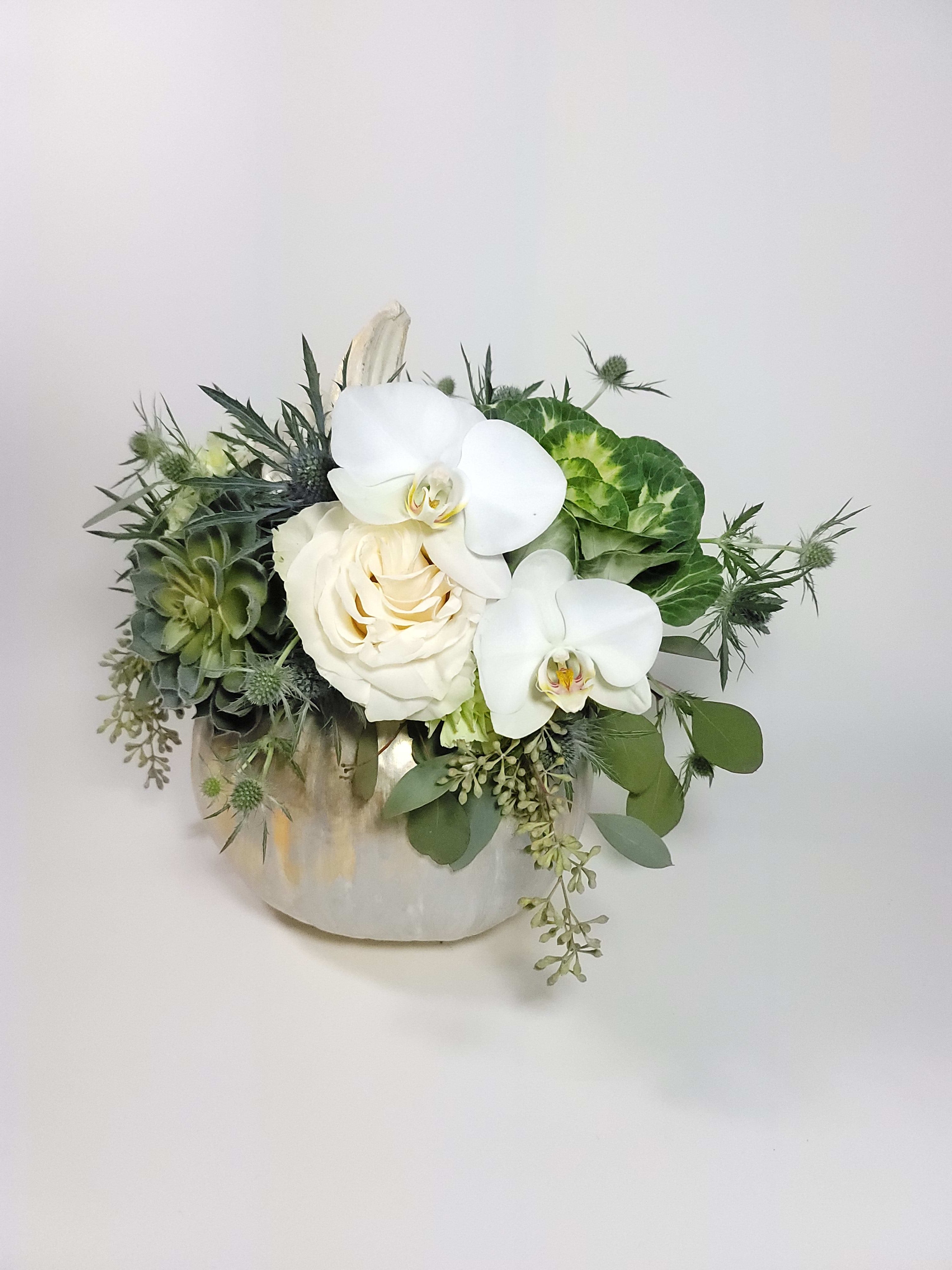 The Greens Alive - A beautiful arrangement with alive succulents, kale flowers, white orchids, and other flowers to complement the design